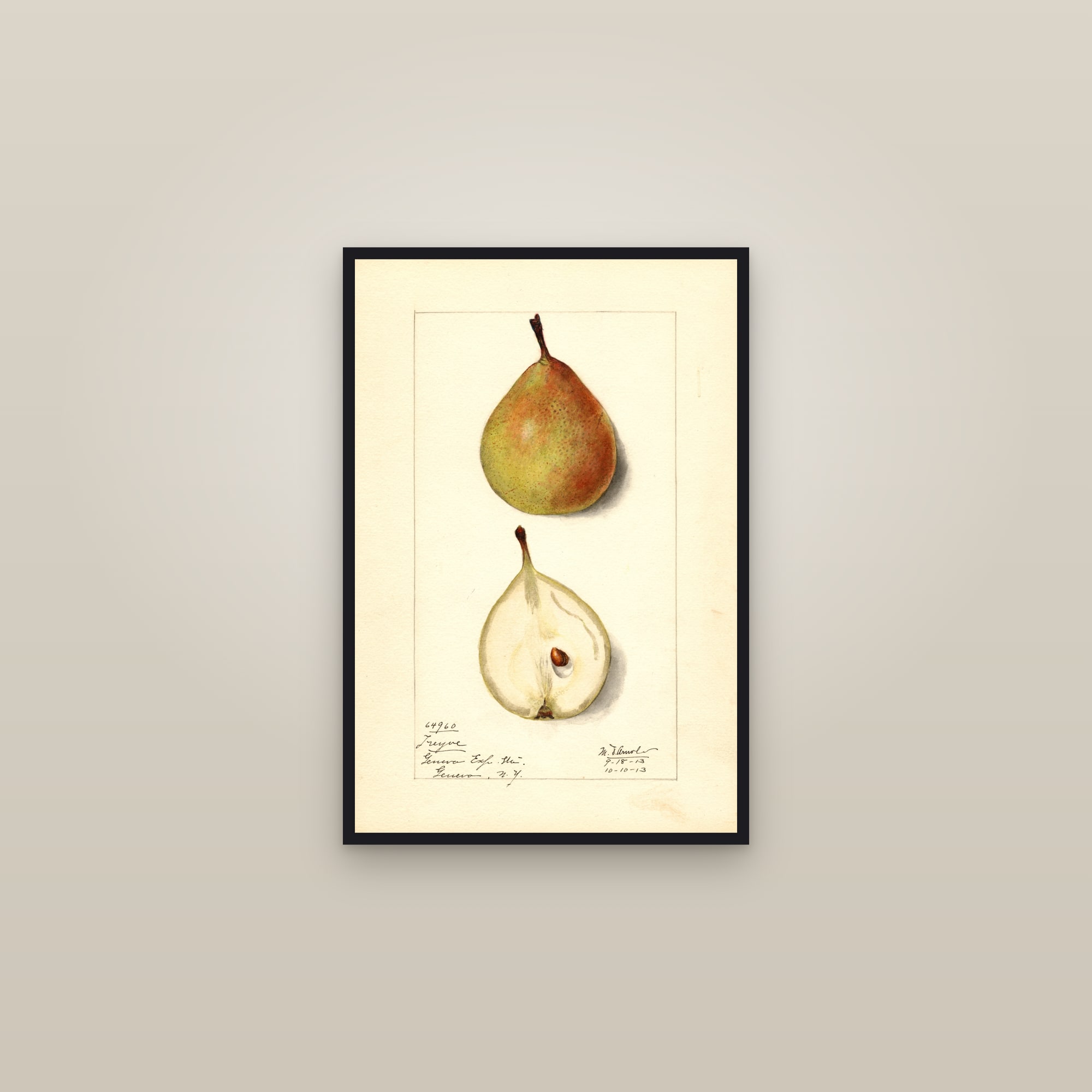 Treyve Pear — framed in a gallery setting