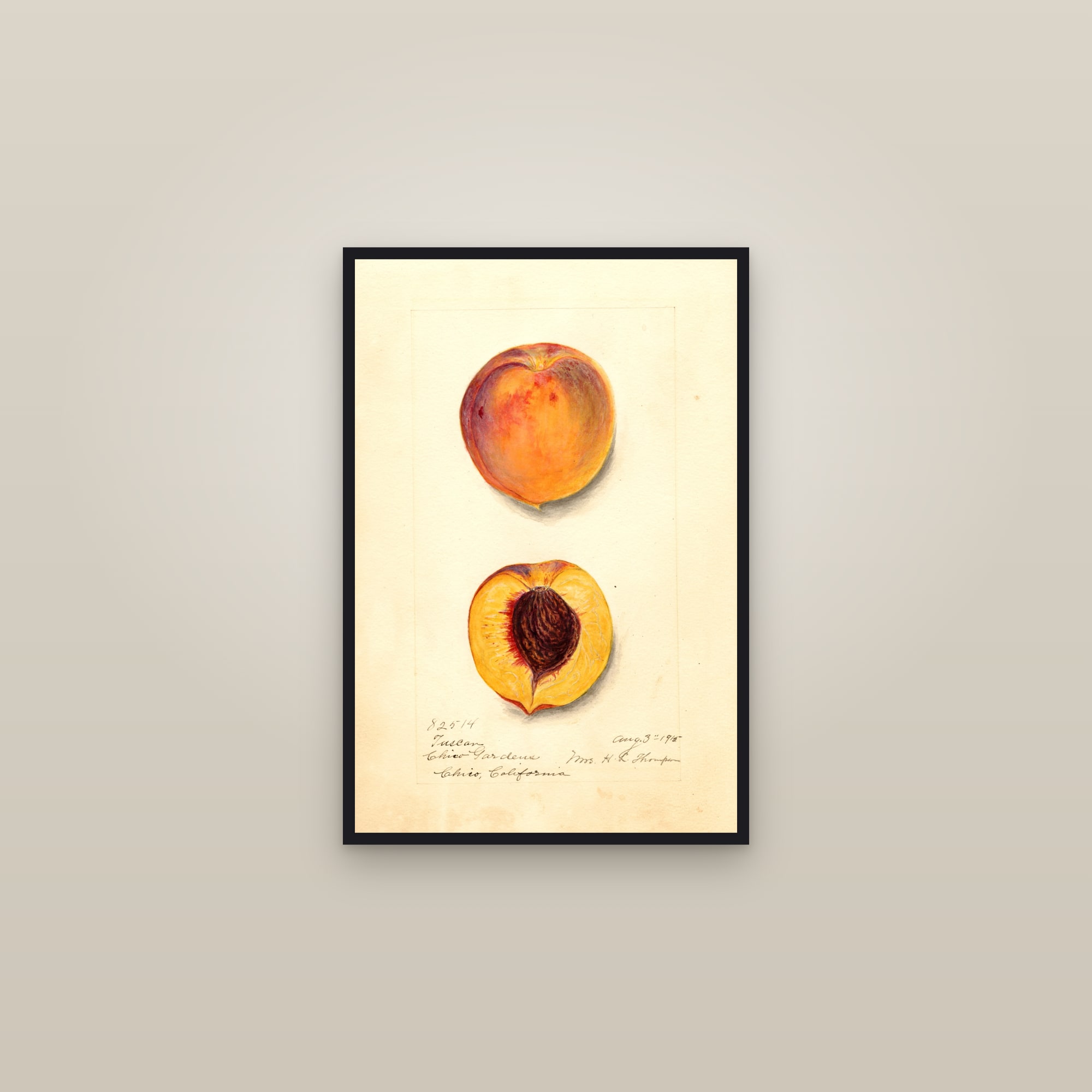 Tuscon Peach — framed in a gallery setting