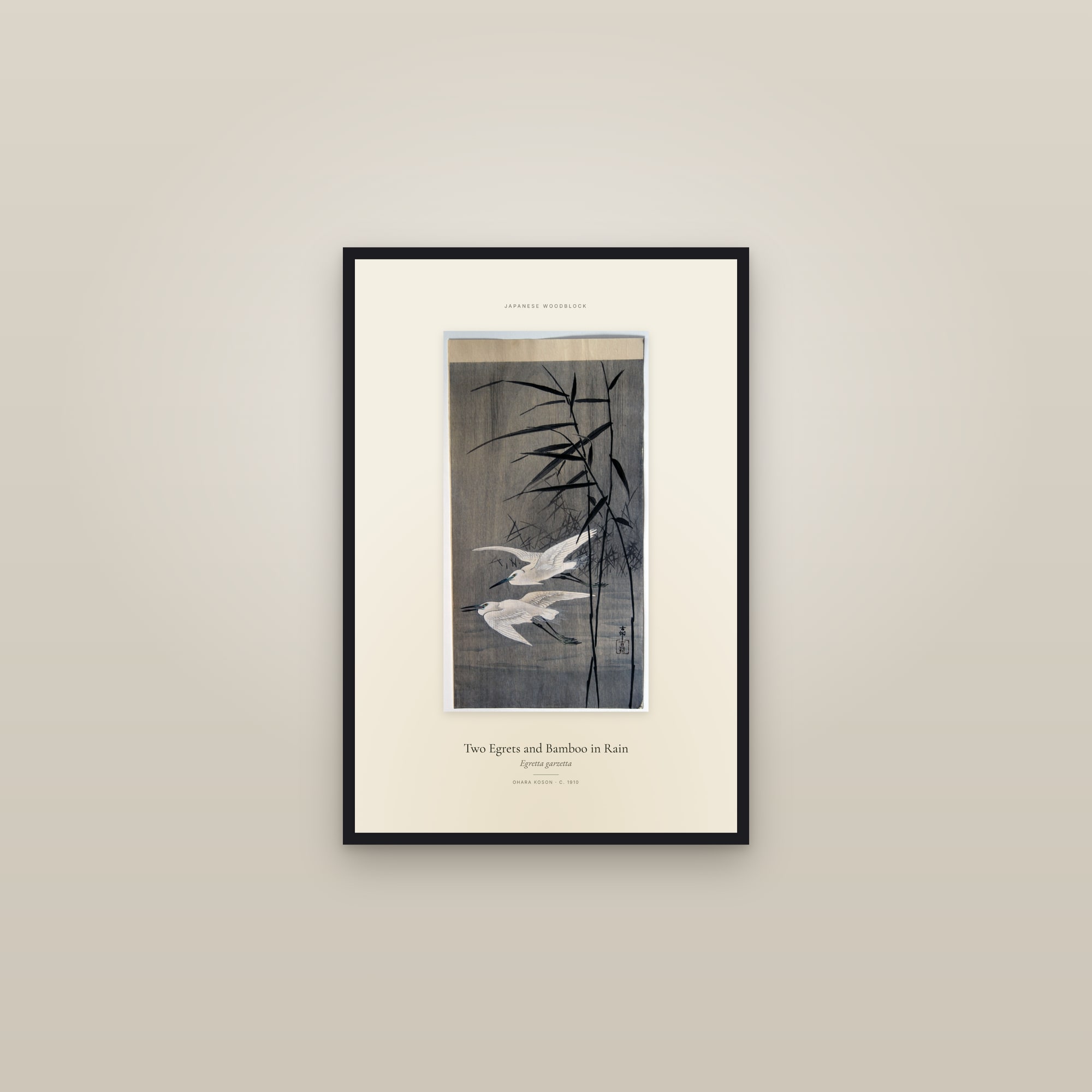 Two Egrets and Bamboo in Rain — Specimen
