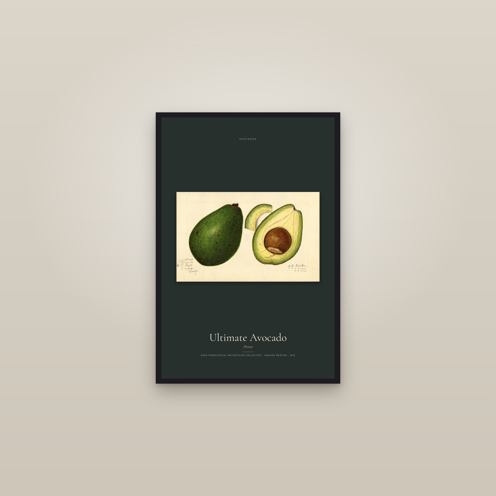 Ultimate Avocado — framed in a gallery setting