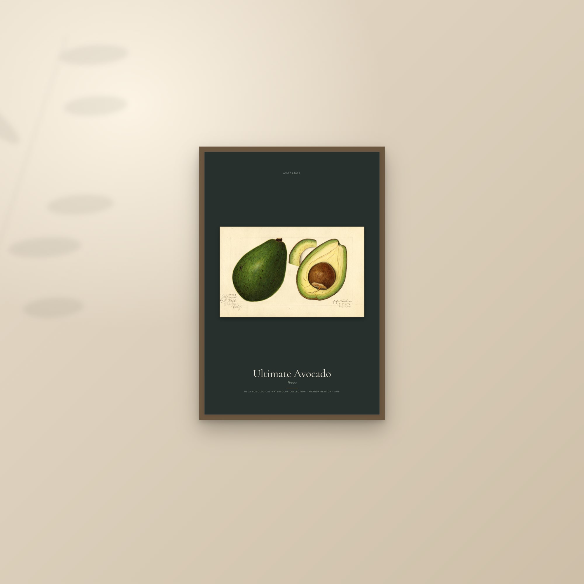 Ultimate Avocado — framed and styled on a sunlit wall