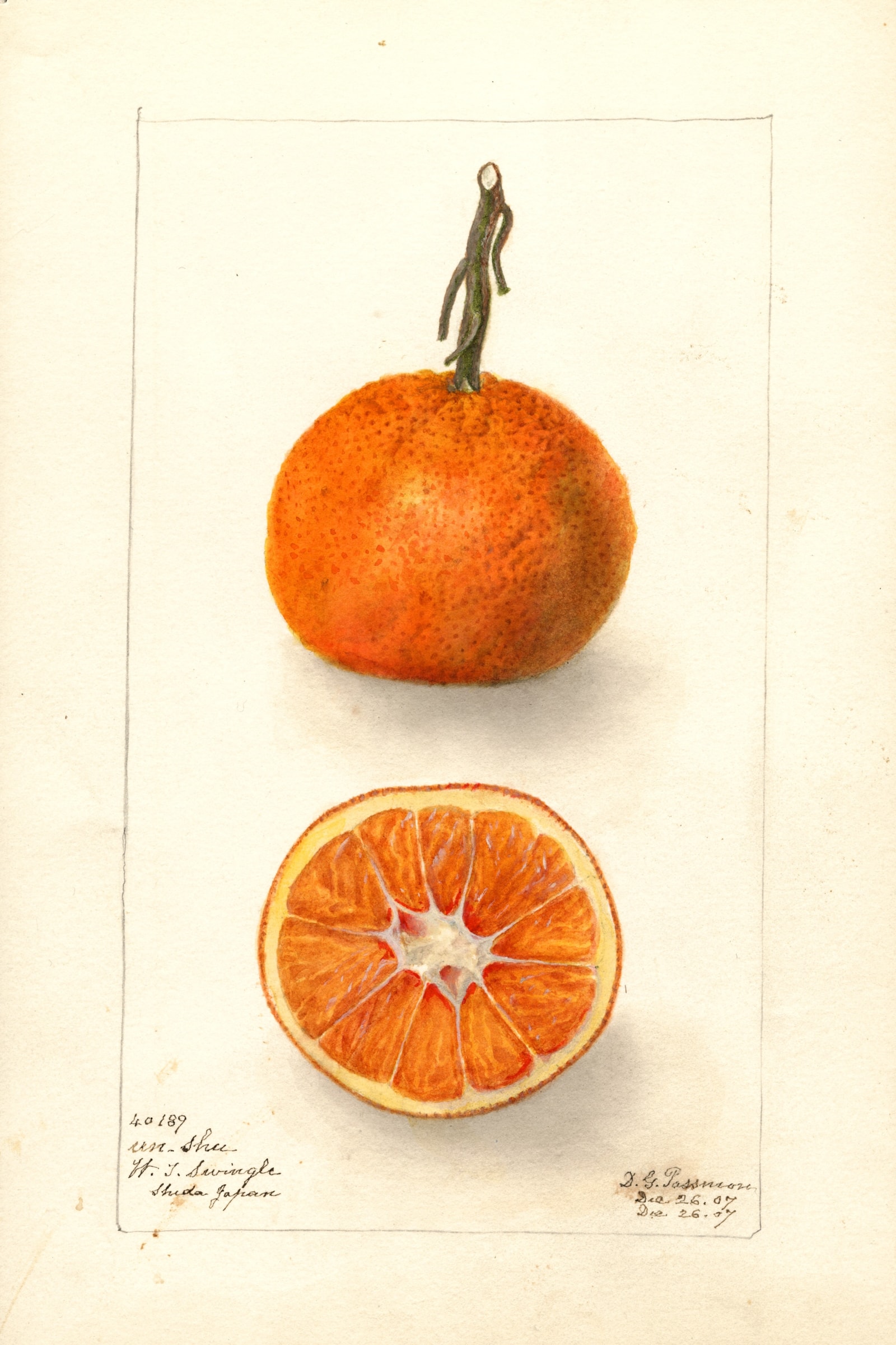Un-Shu Citrus