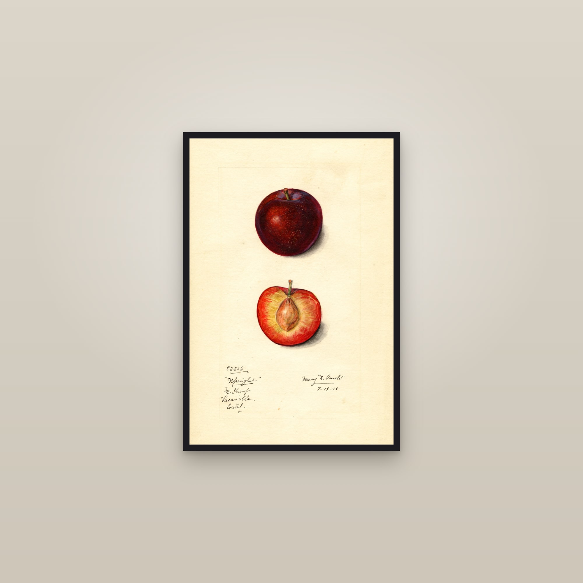 Upright Plum — framed in a gallery setting