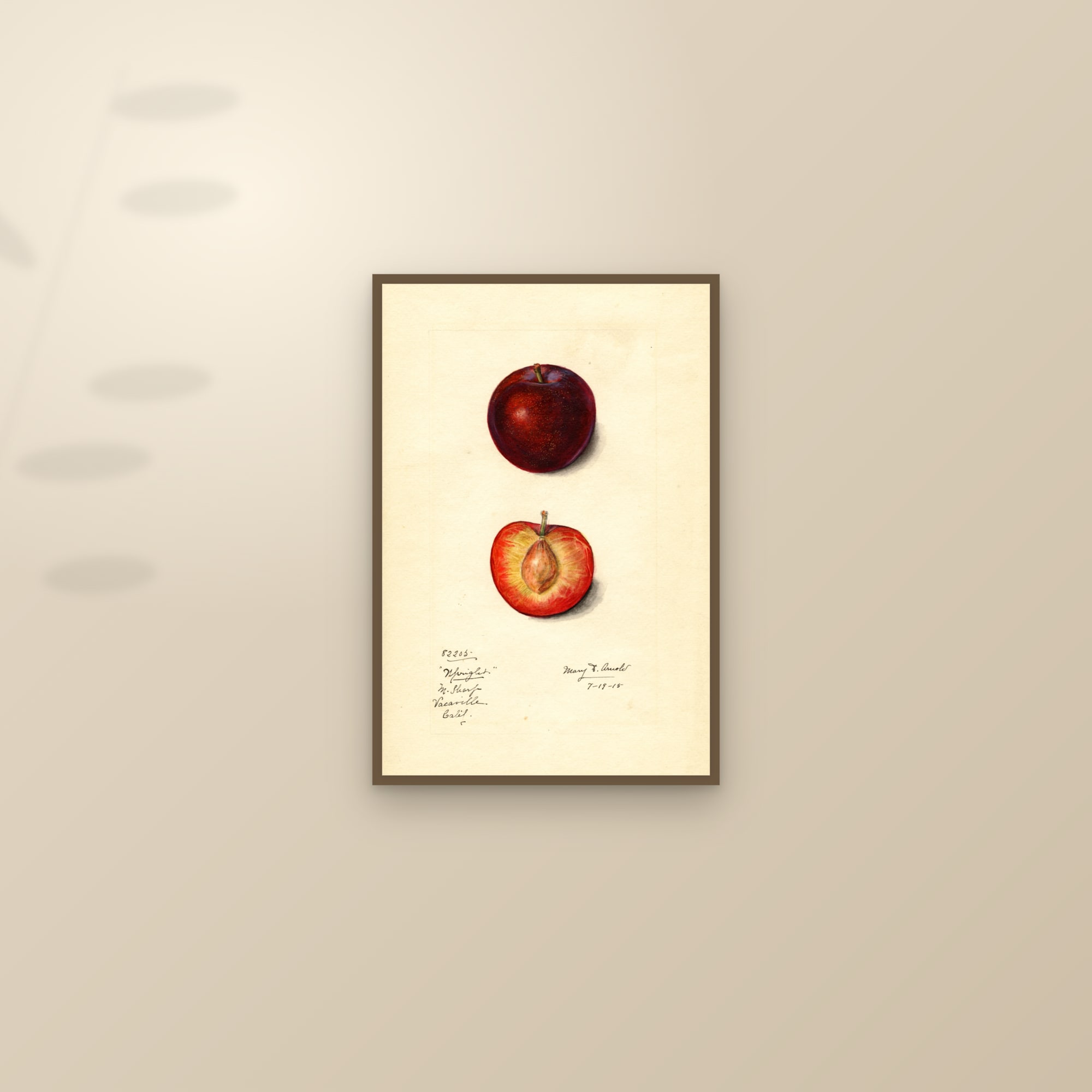 Upright Plum — framed and styled on a sunlit wall