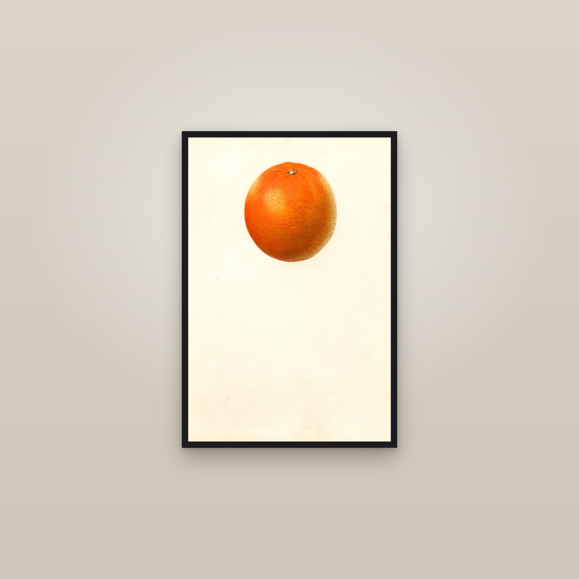 Valencia Orange — framed in a gallery setting