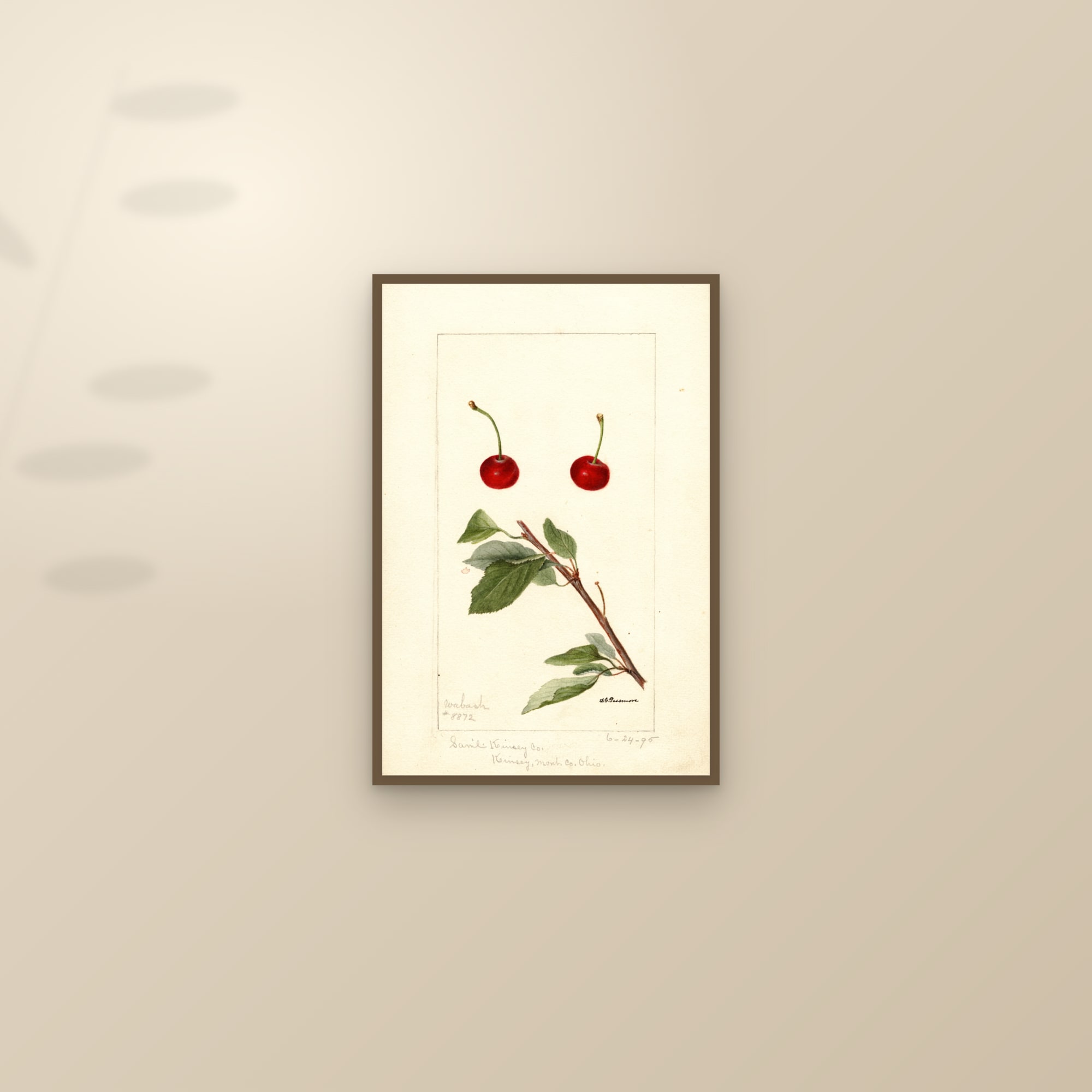 Wabash Cherry — framed and styled on a sunlit wall