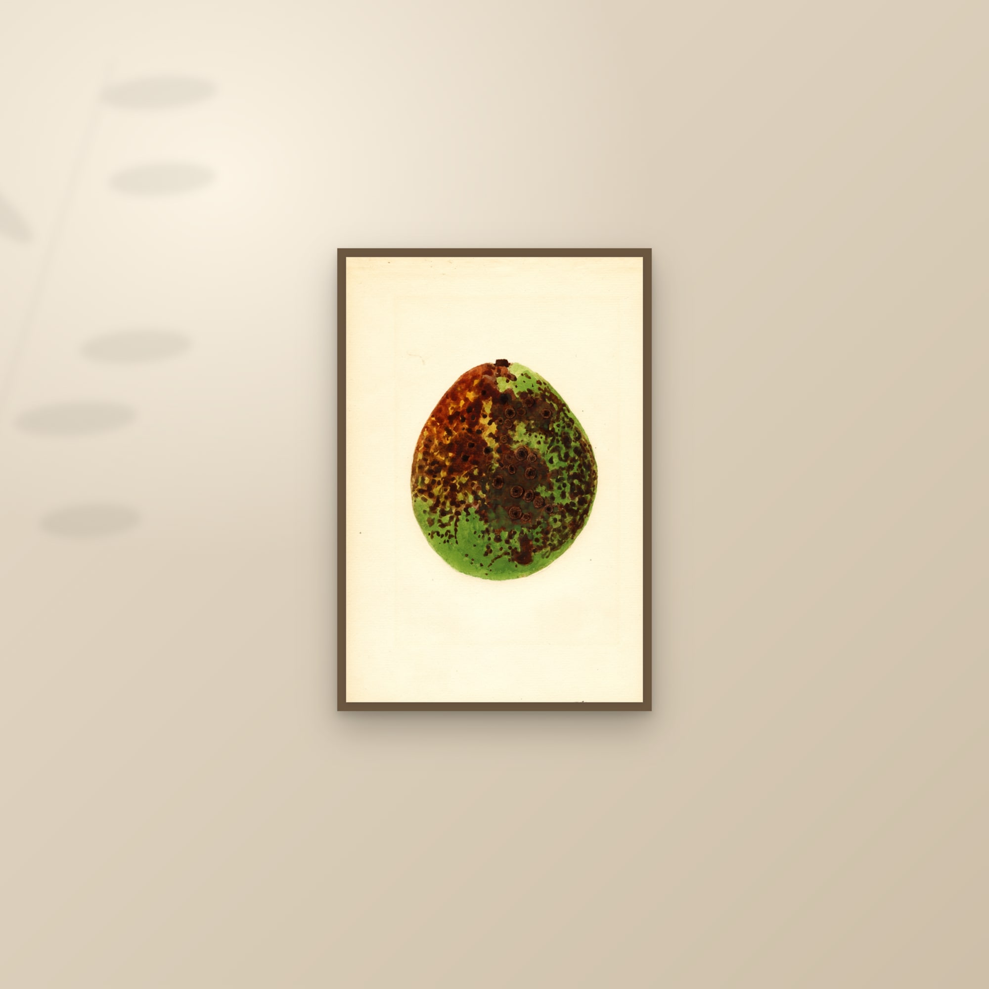 Waldin Avocado — framed and styled on a sunlit wall