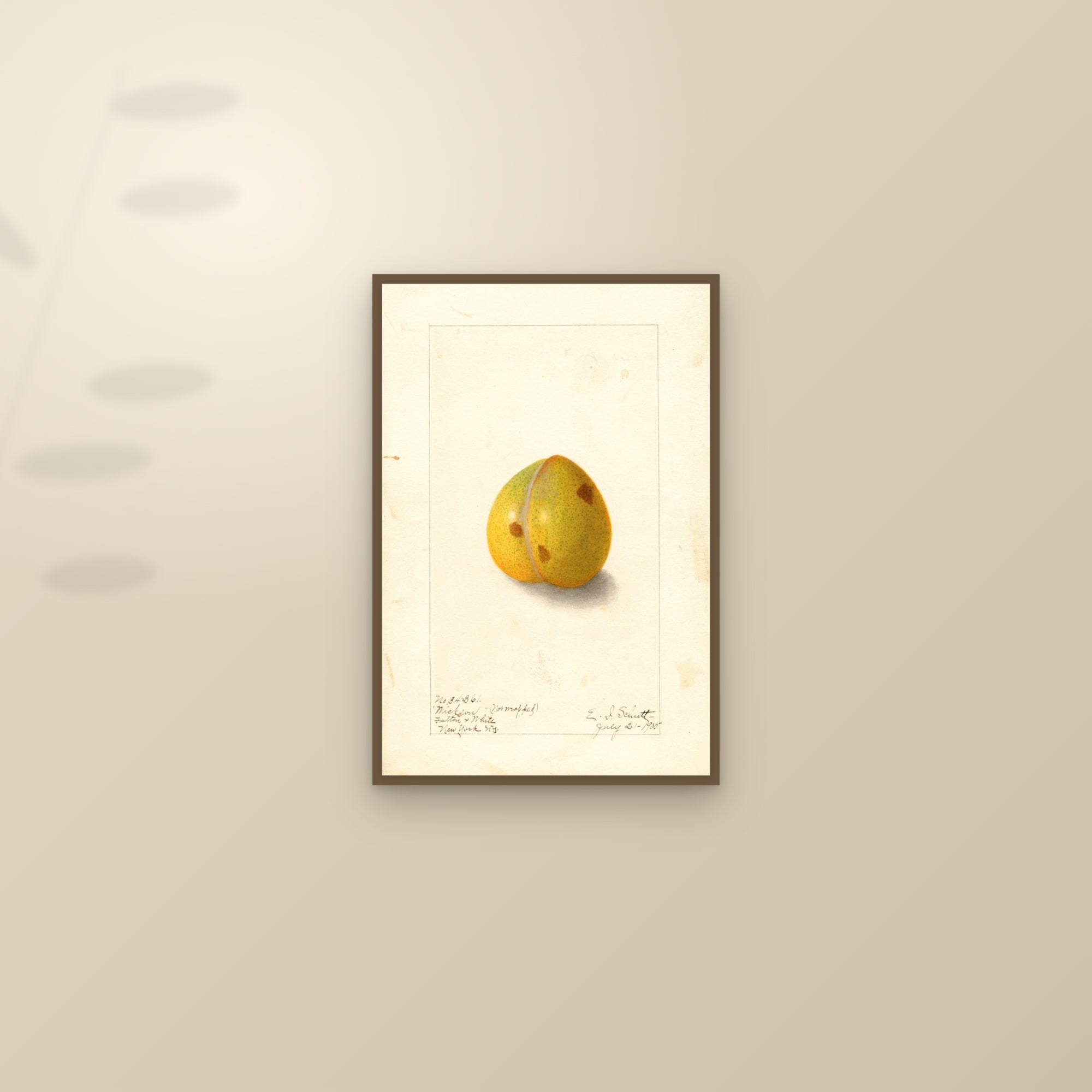 Wickson Plum — framed and styled on a sunlit wall