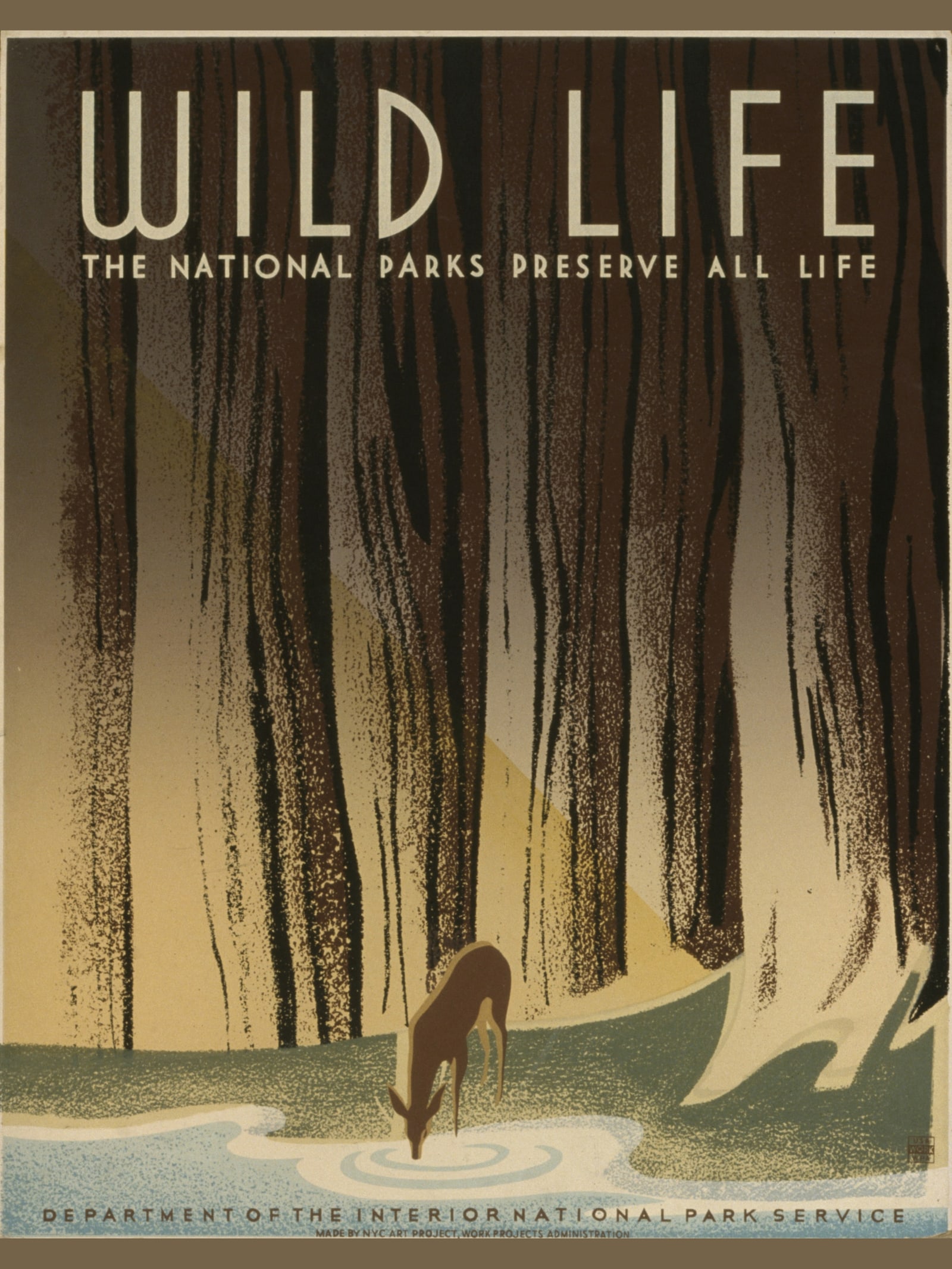 Wild Life — The National Parks Preserve All Life