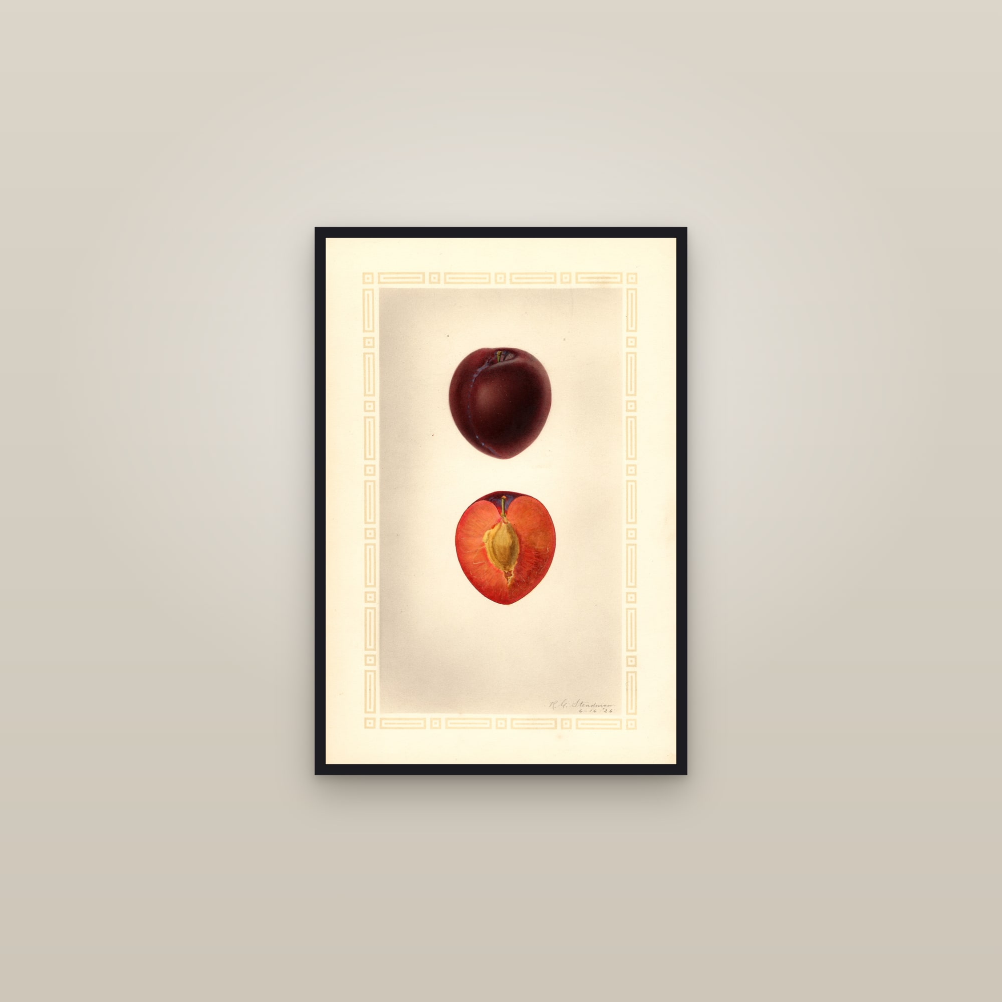 Winesap Plum — framed in a gallery setting
