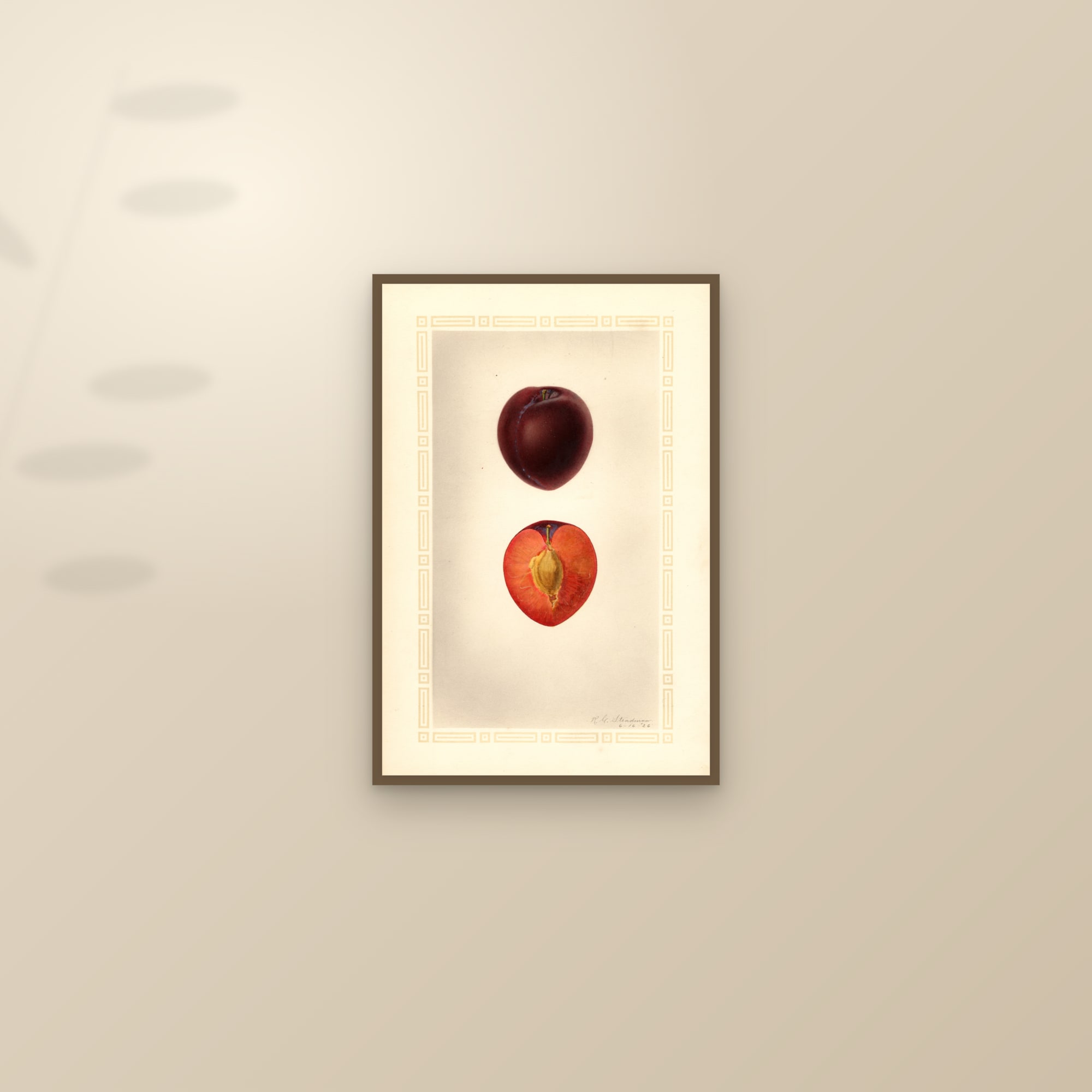 Winesap Plum — framed and styled on a sunlit wall