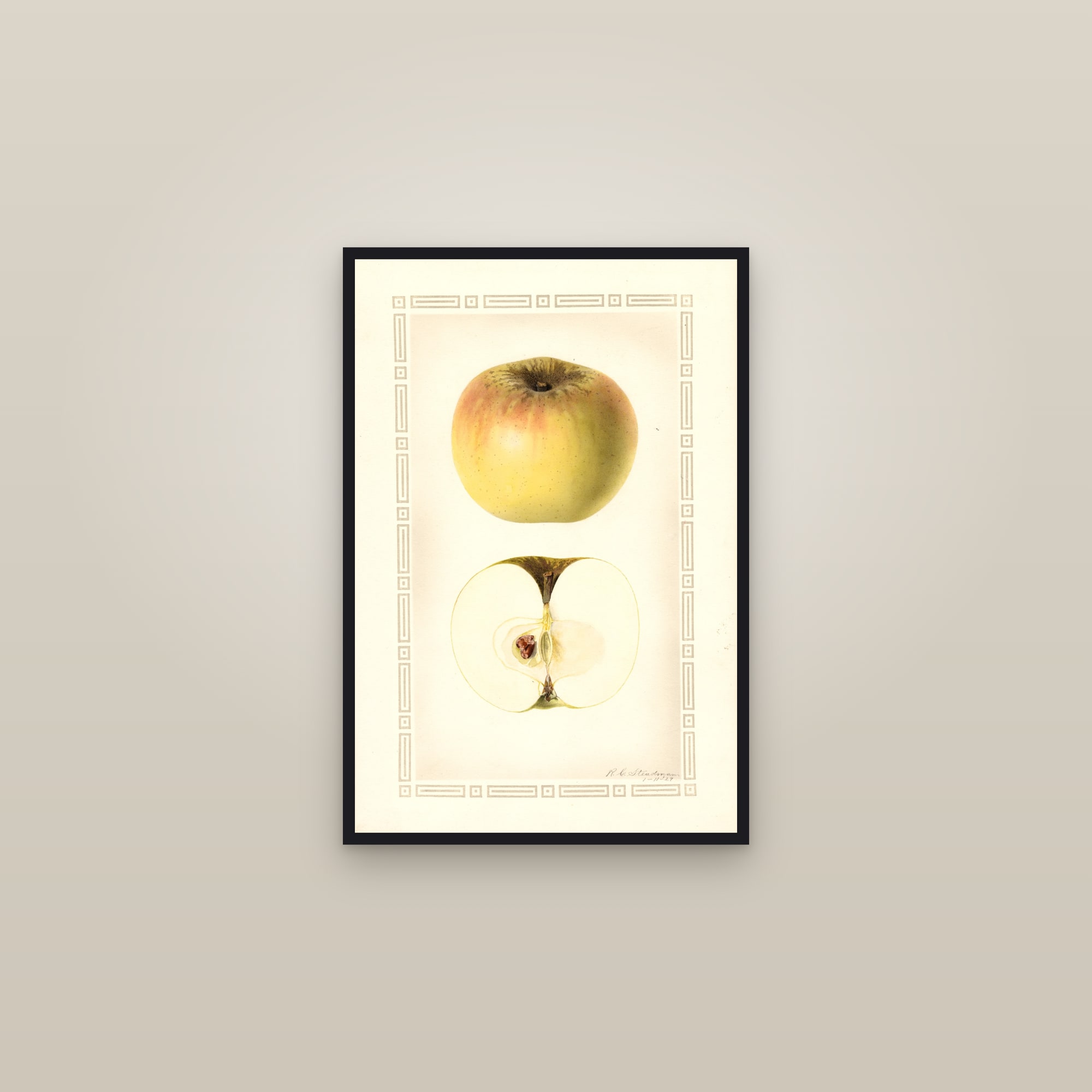 Winter Paradise Apple — framed in a gallery setting