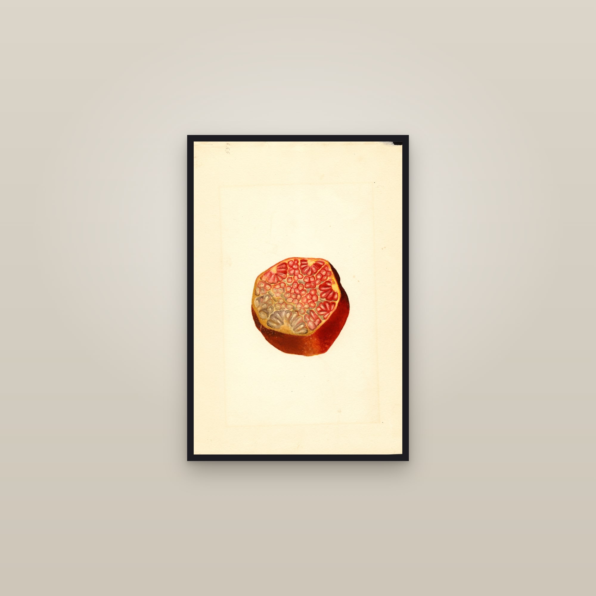 Wonderful Pomegranate — framed in a gallery setting