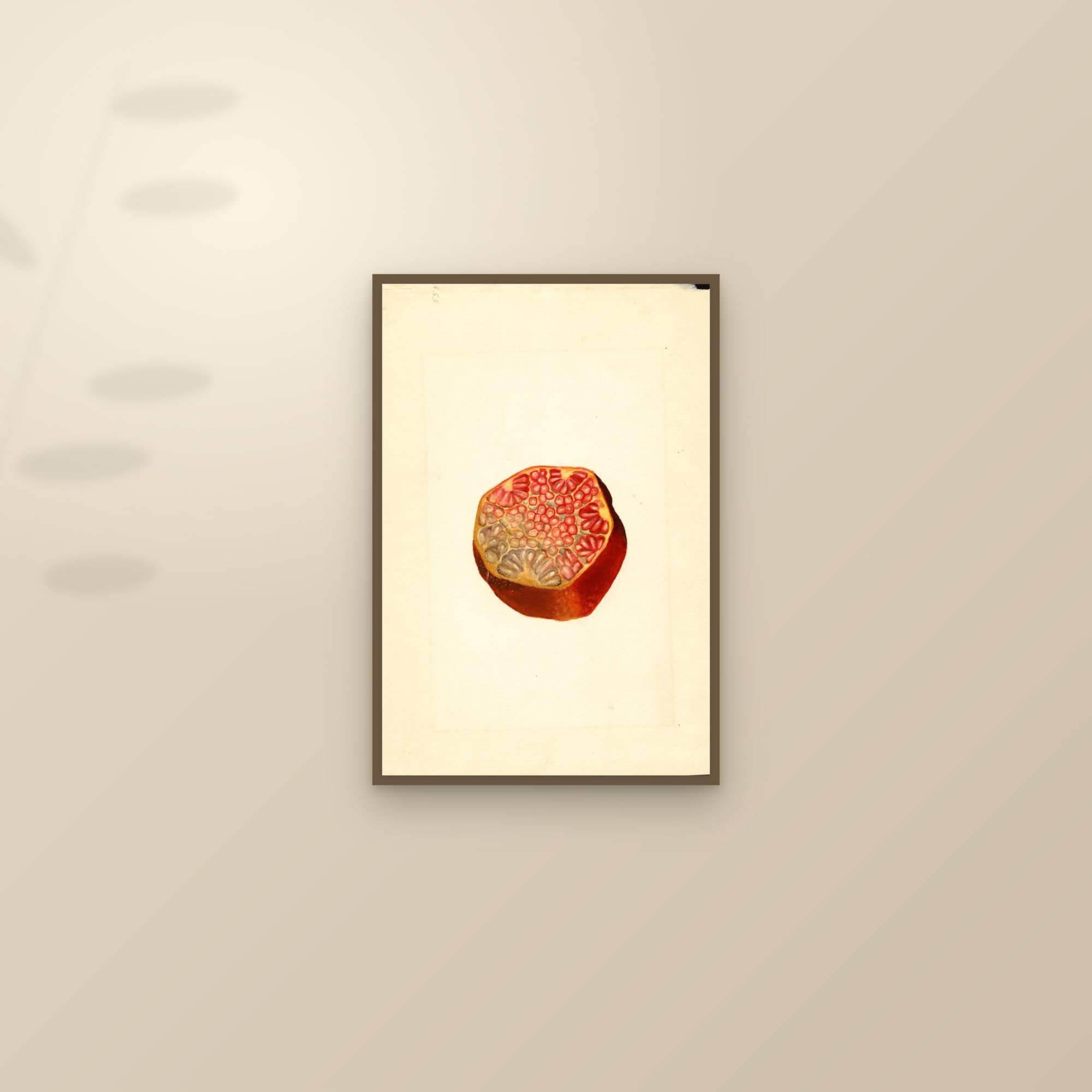 Wonderful Pomegranate — framed and styled on a sunlit wall