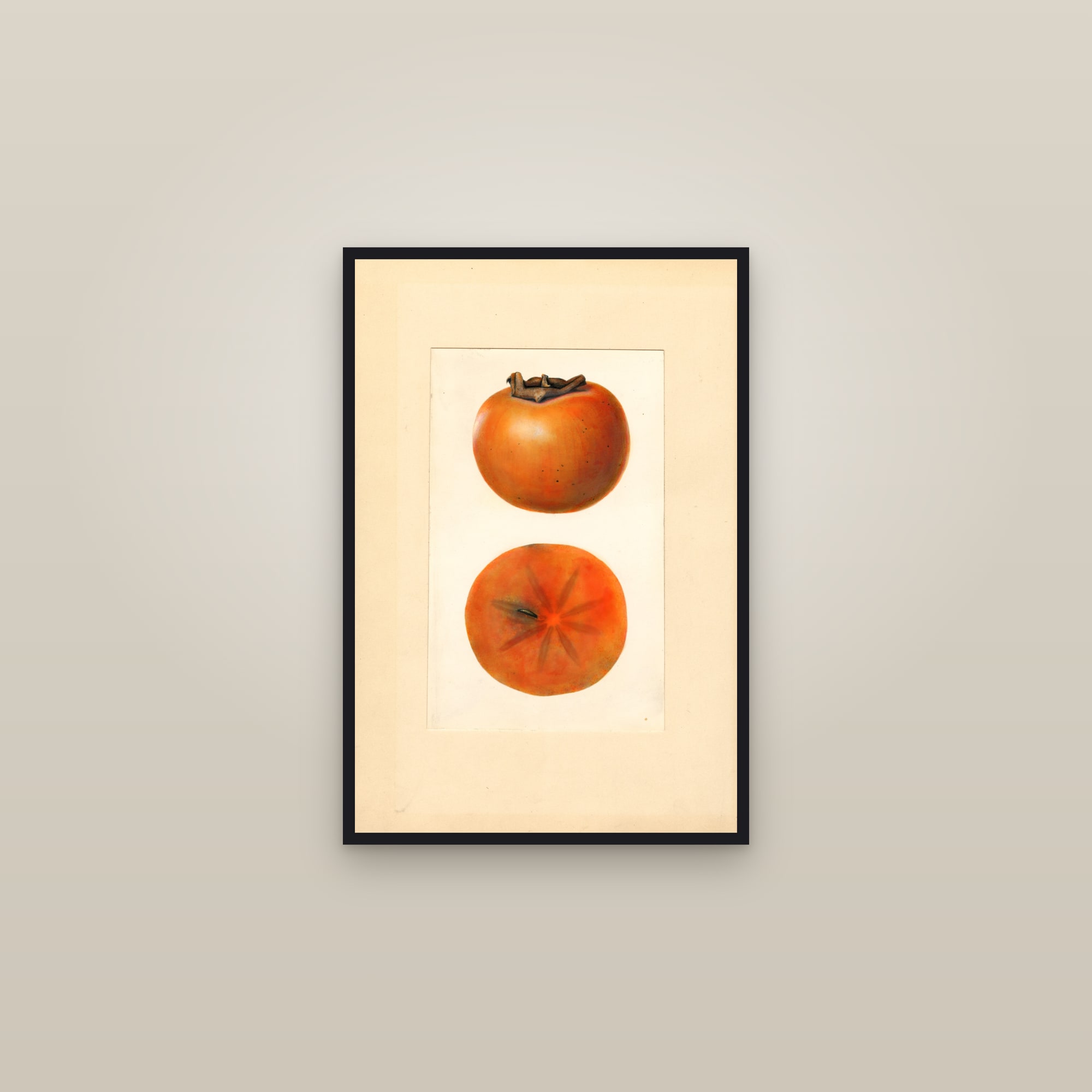 Yemon Persimmon — framed in a gallery setting