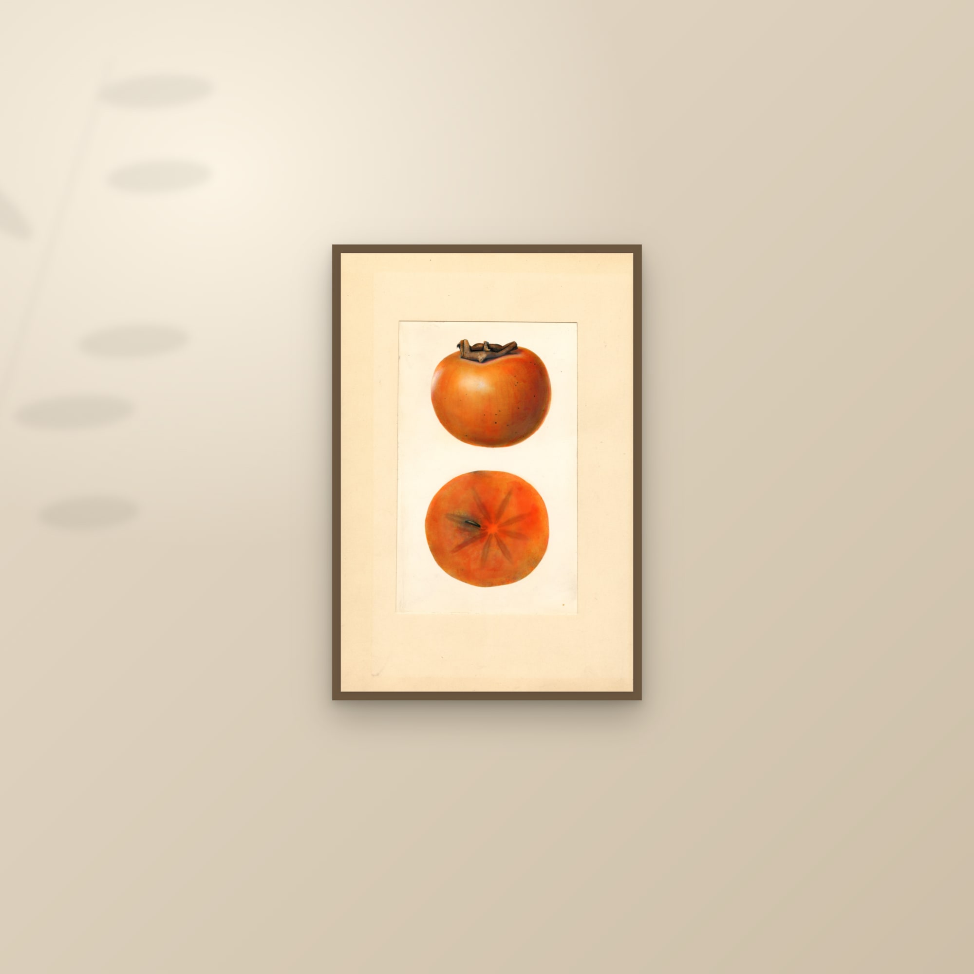 Yemon Persimmon — framed and styled on a sunlit wall