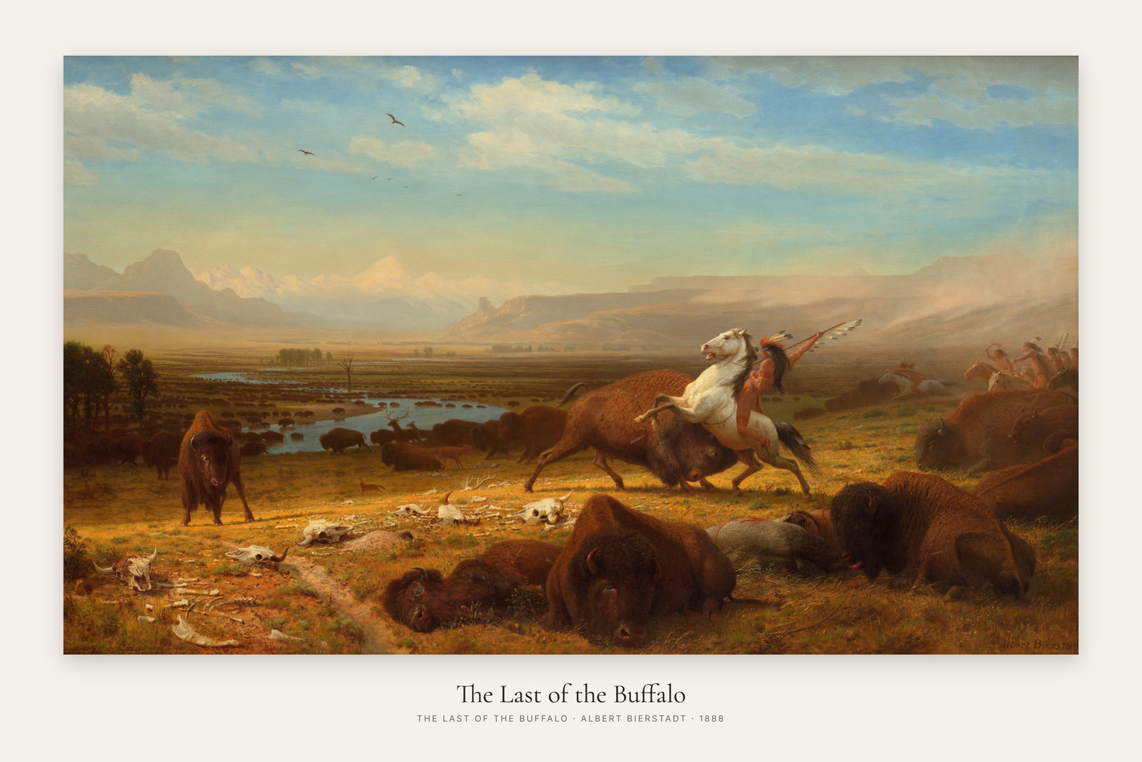 The Last of the Buffalo