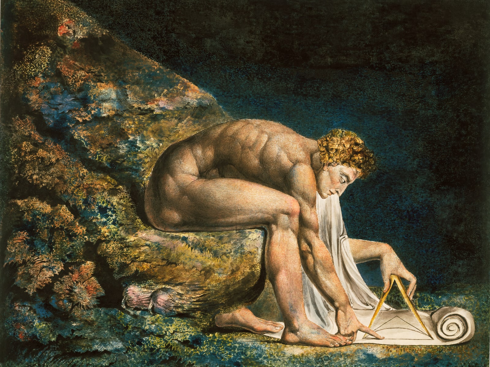 Newton (Full) — Full-Bleed Edition