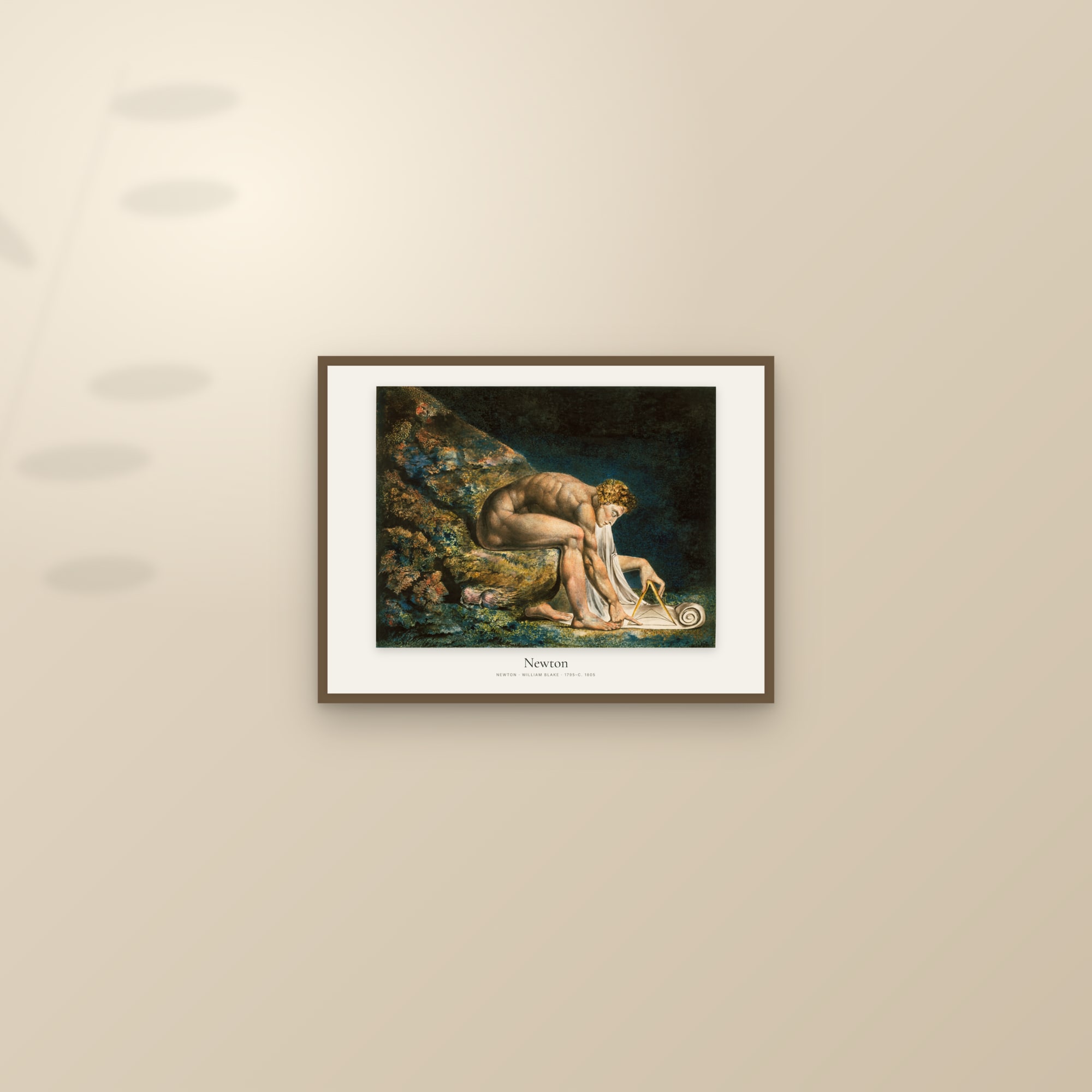 Newton — framed and styled on a sunlit wall