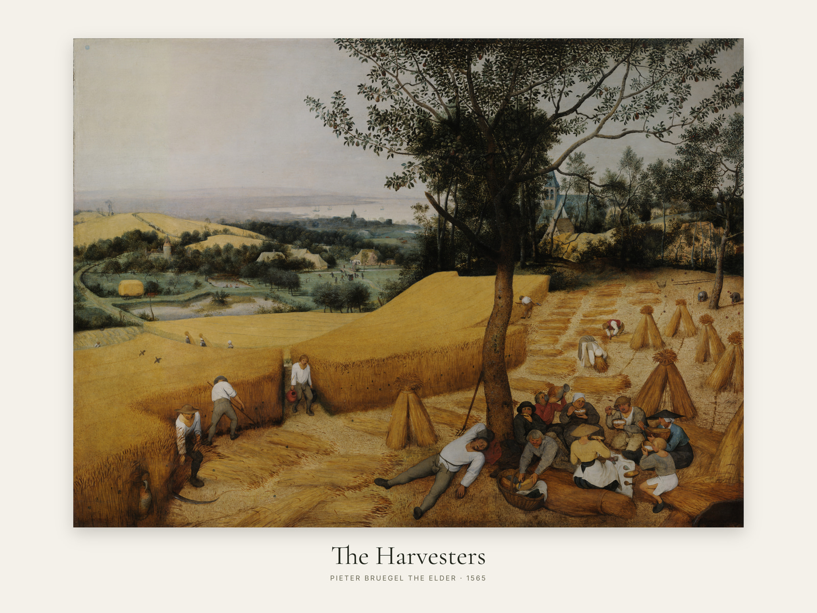 The Harvesters