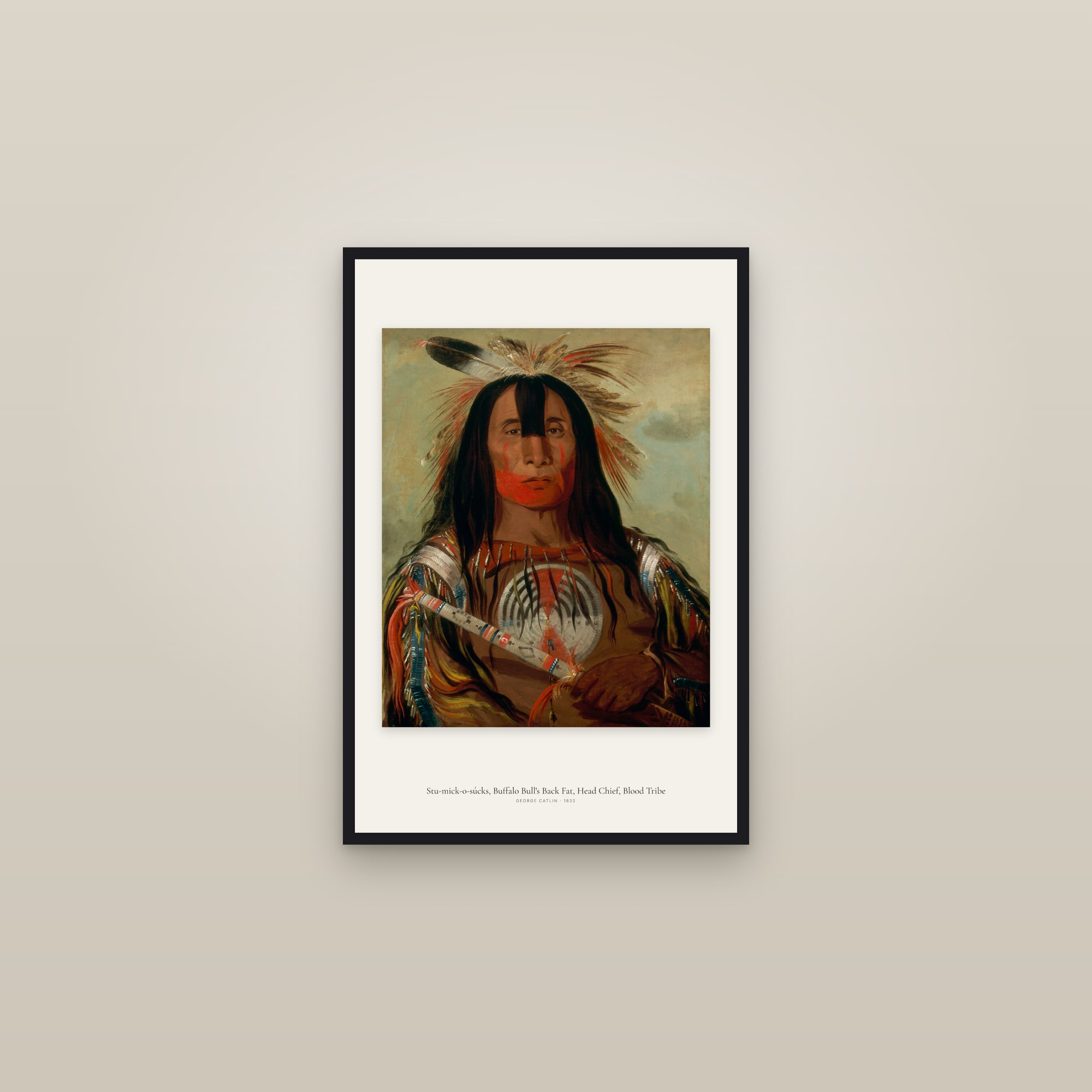 Stu-mick-o-súcks, Buffalo Bull's Back Fat, Head Chief, Blood Tribe — framed in a gallery setting