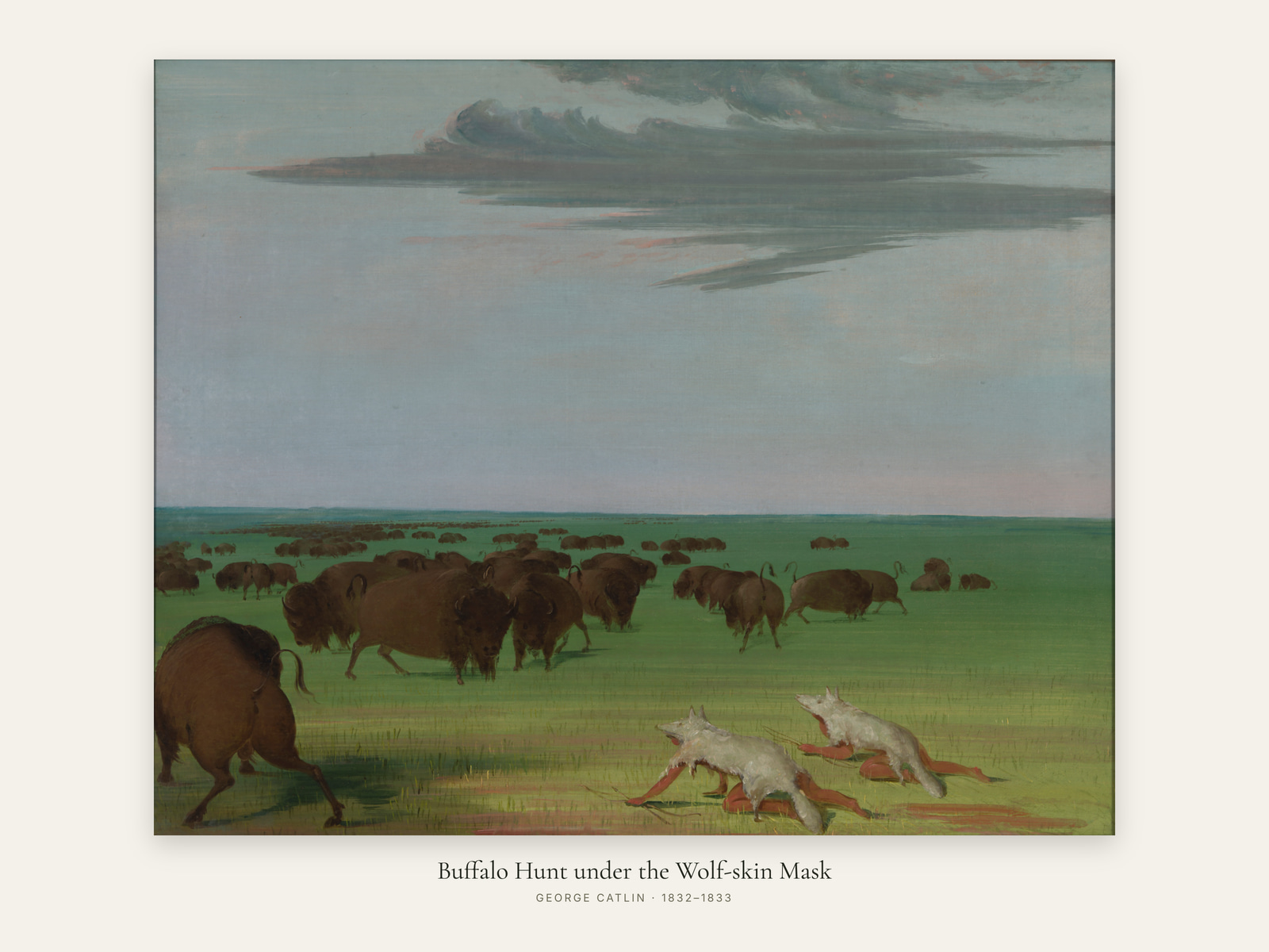 Buffalo Hunt under the Wolf-skin Mask