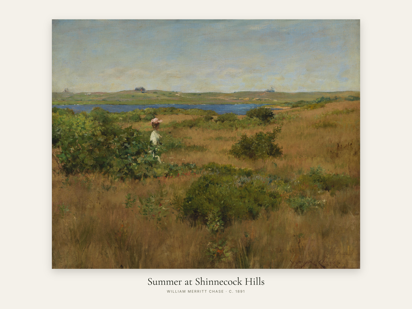 Summer at Shinnecock Hills