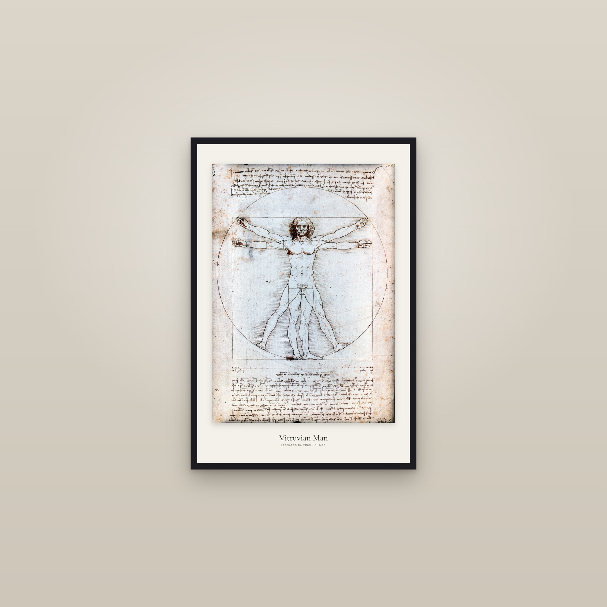 Vitruvian Man