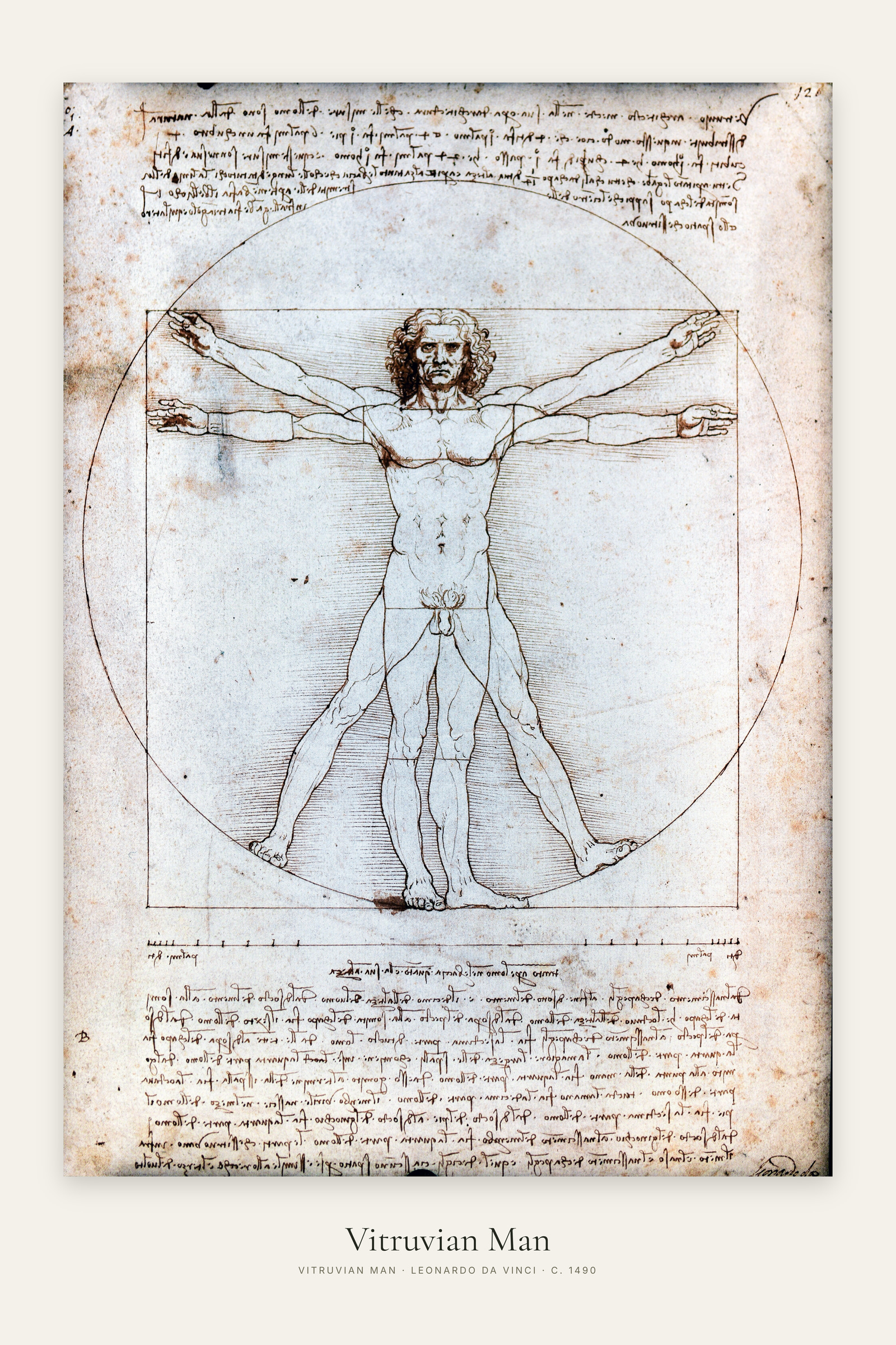 Vitruvian Man