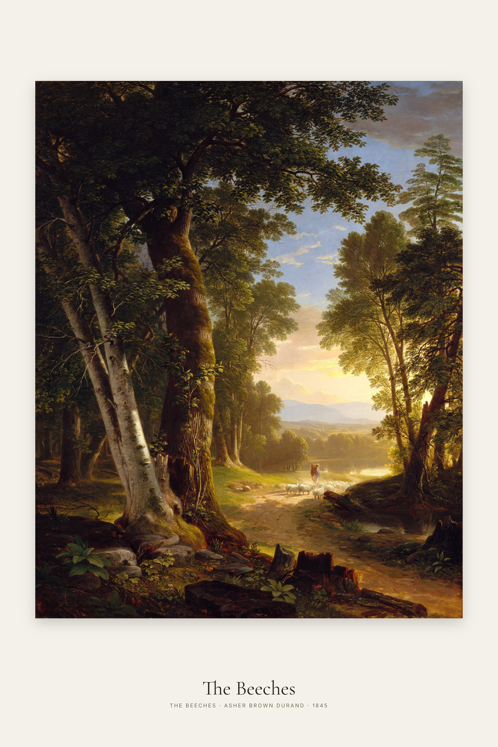 The Beeches