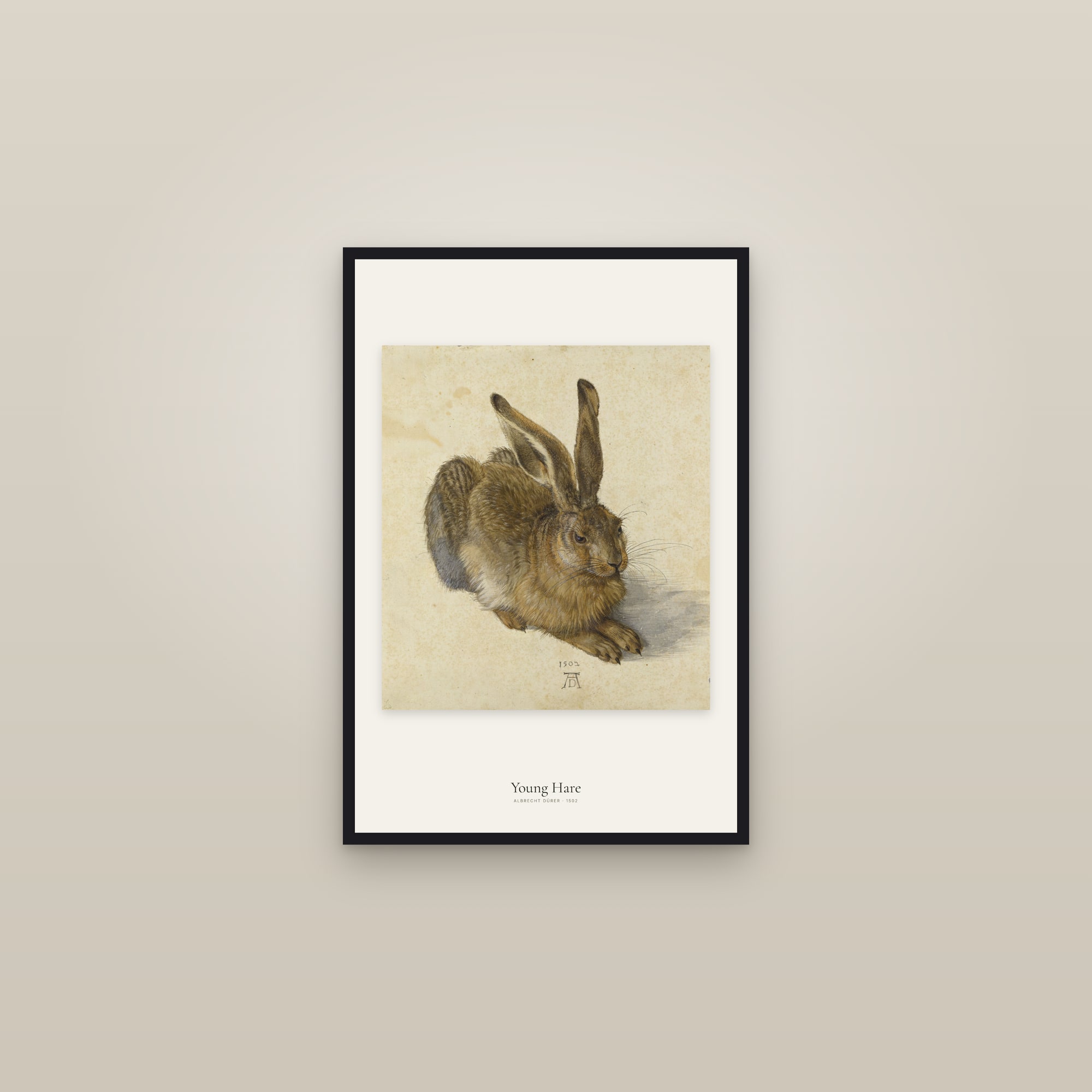 Young Hare