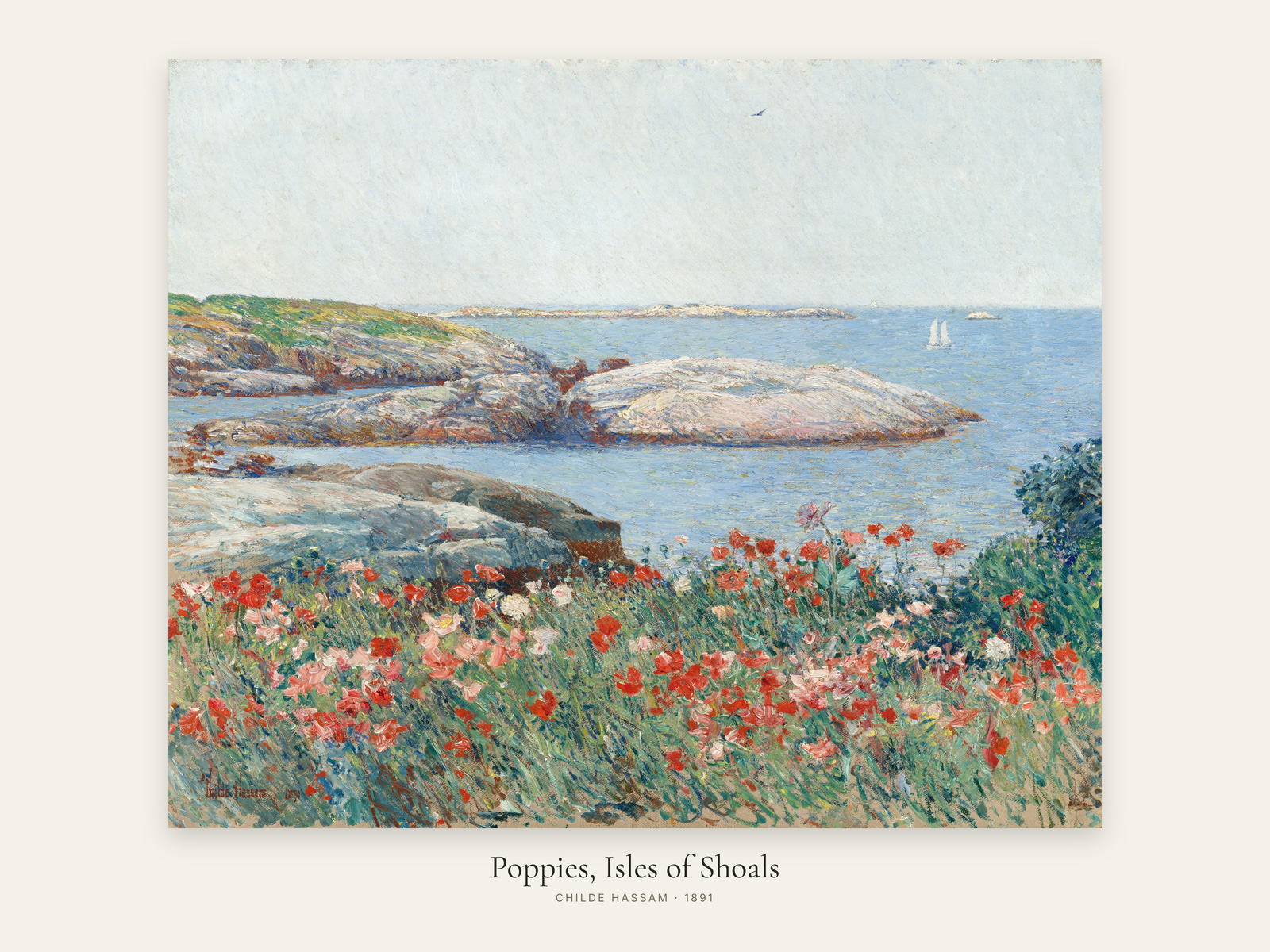 Poppies, Isles of Shoals