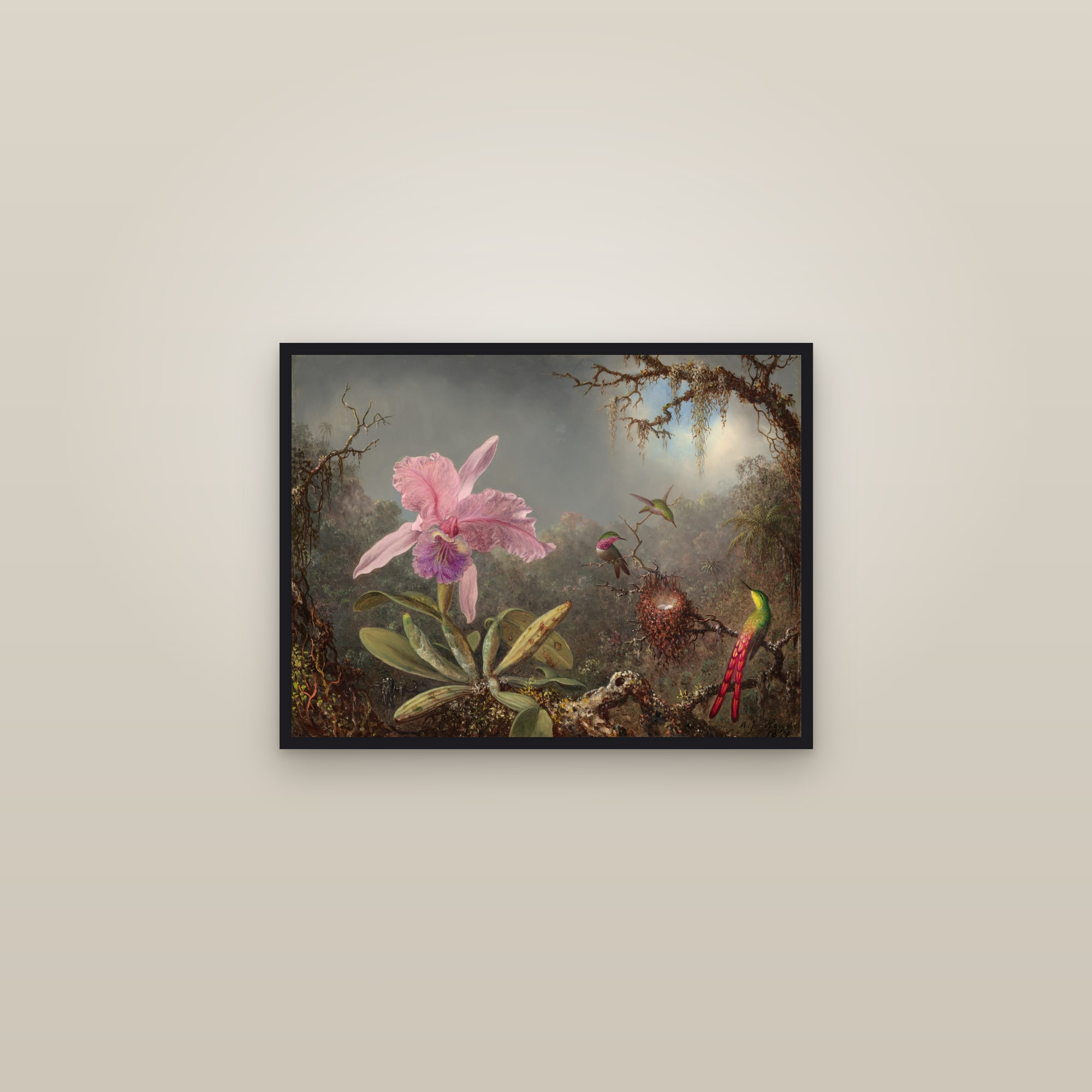 Cattleya Orchid and Three Hummingbirds (Full) — Full-Bleed Edition — framed in a gallery setting