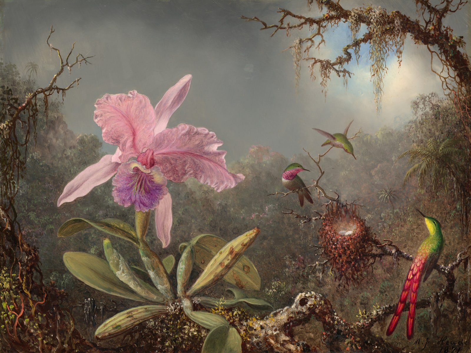 Cattleya Orchid and Three Hummingbirds (Full) — Full-Bleed Edition