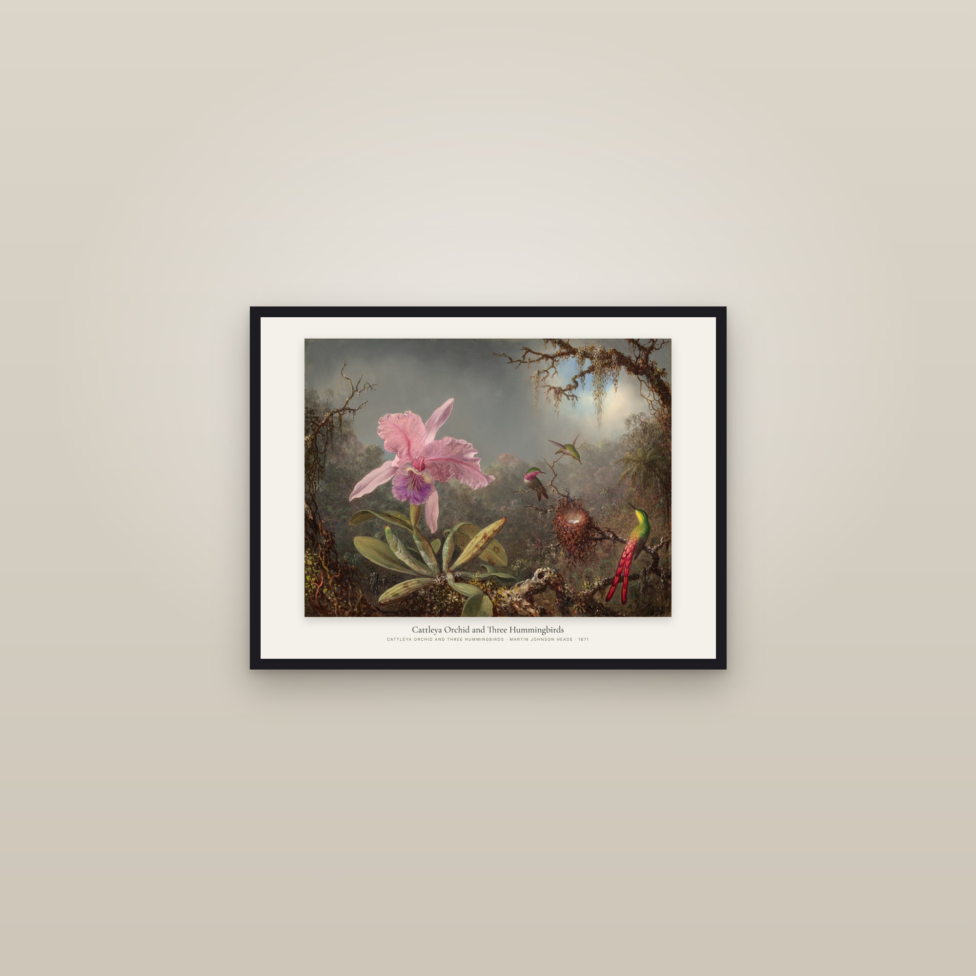 Cattleya Orchid and Three Hummingbirds