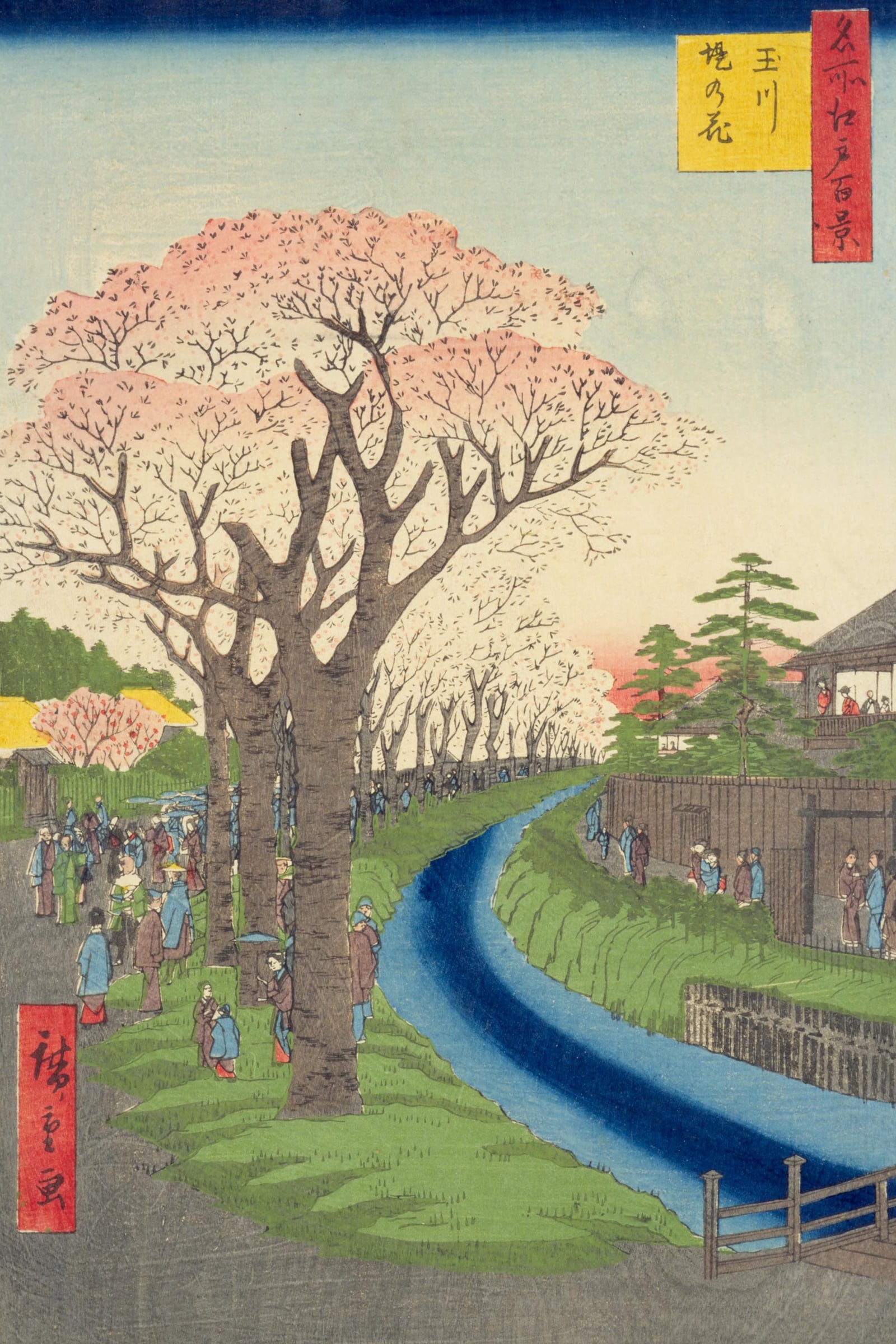 Cherry Blossoms on the Banks of the Tama River (Full) — Full-Bleed Edition