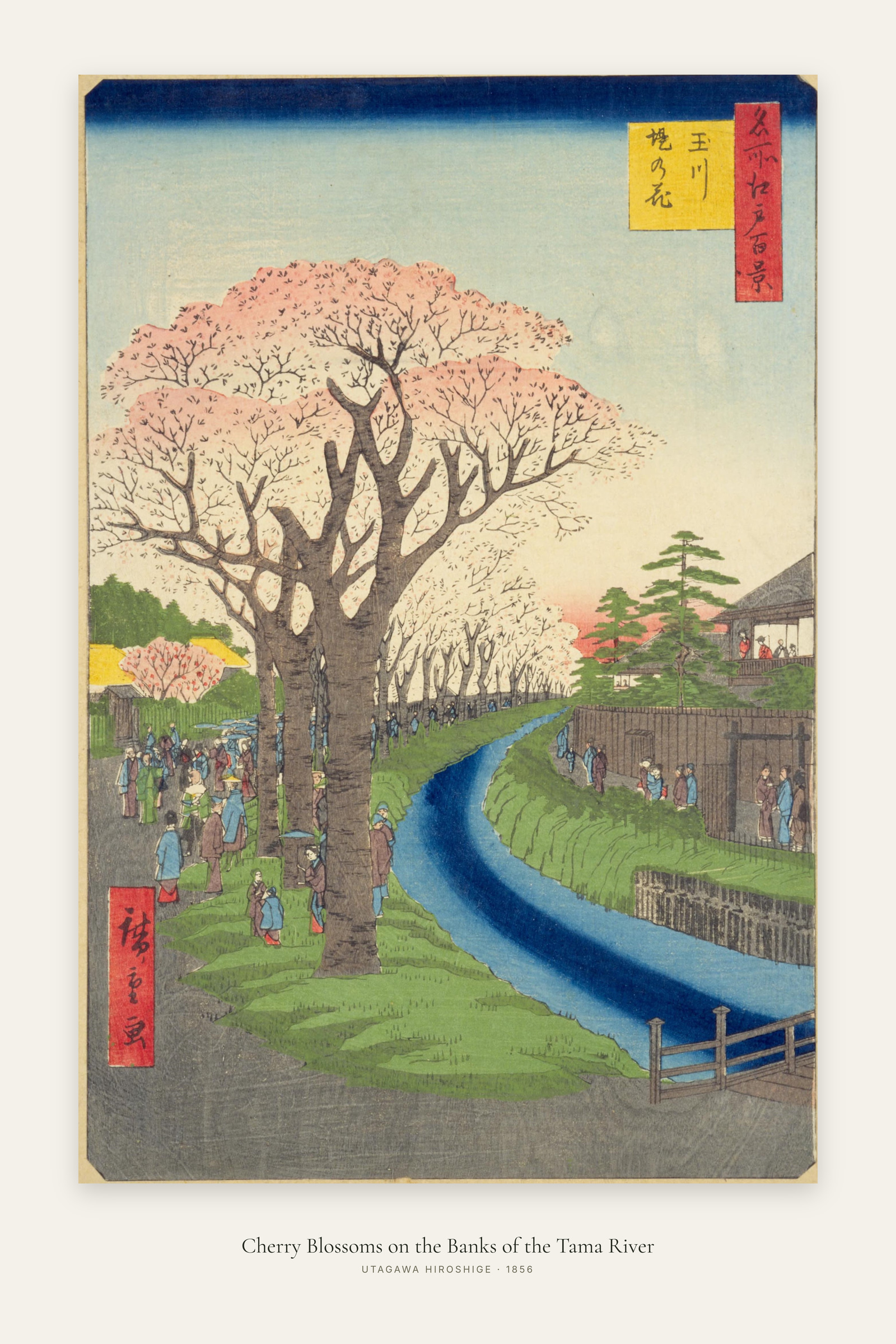 Cherry Blossoms on the Banks of the Tama River