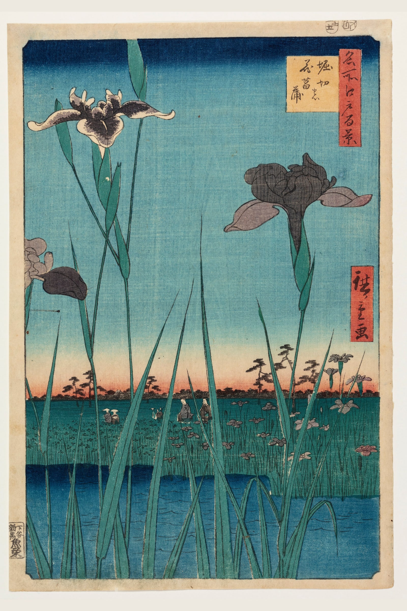Horikiri Iris Garden (Full) — Full-Bleed Edition