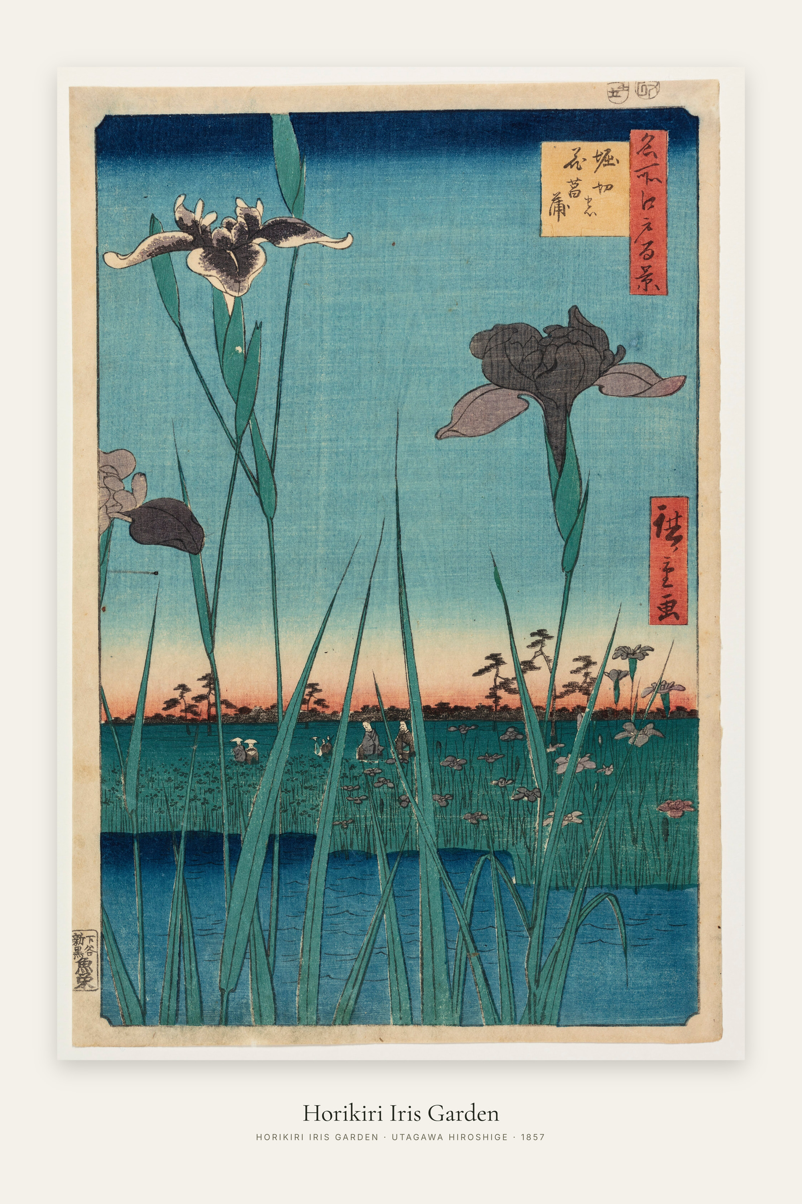 Horikiri Iris Garden