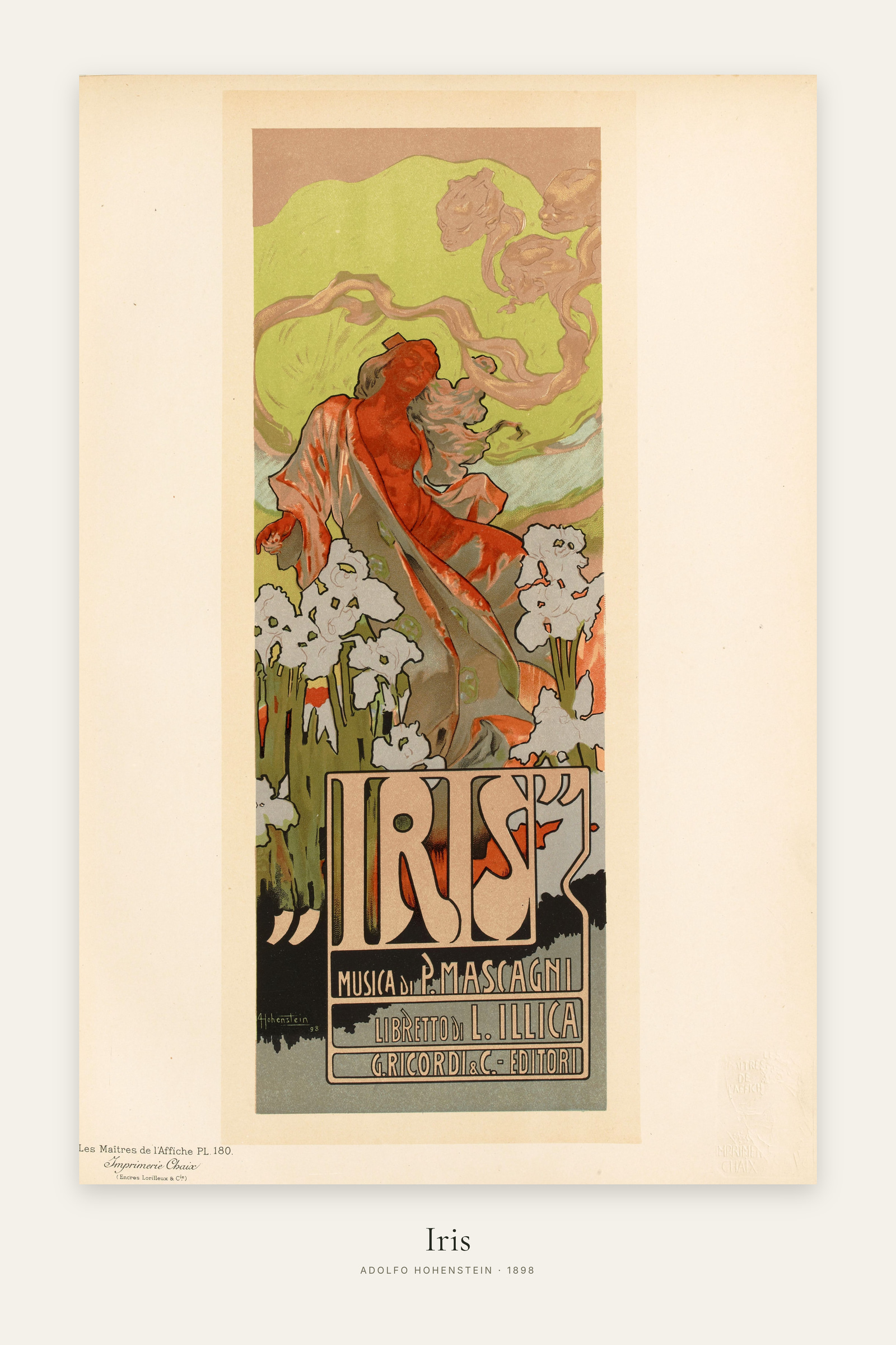 Iris