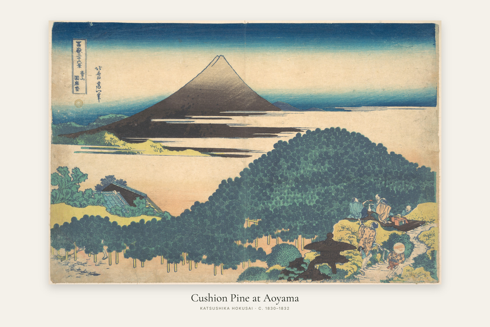 Cushion Pine at Aoyama