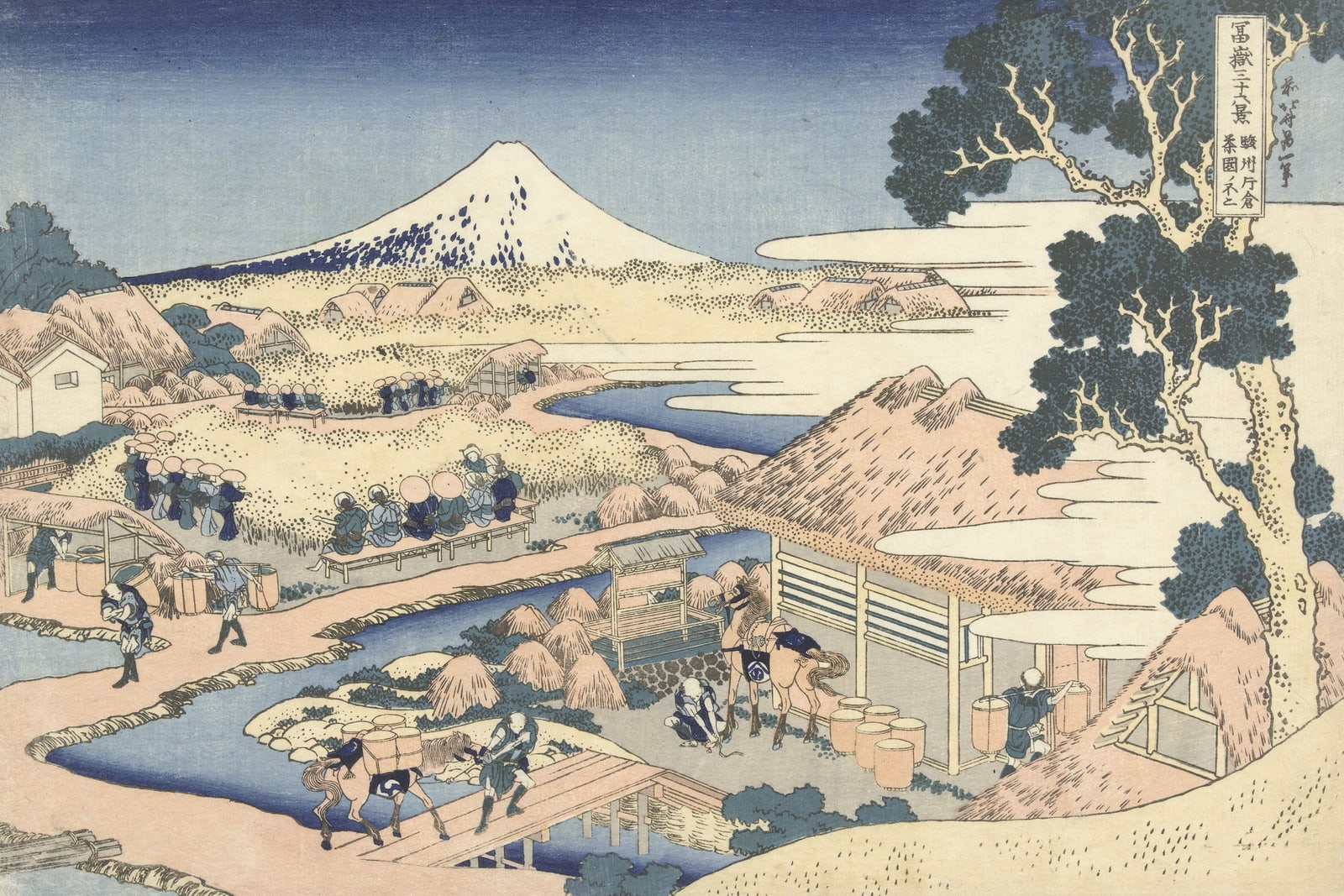 Fuji from the Katakura Tea Fields in Suruga (Full) — Full-Bleed Edition
