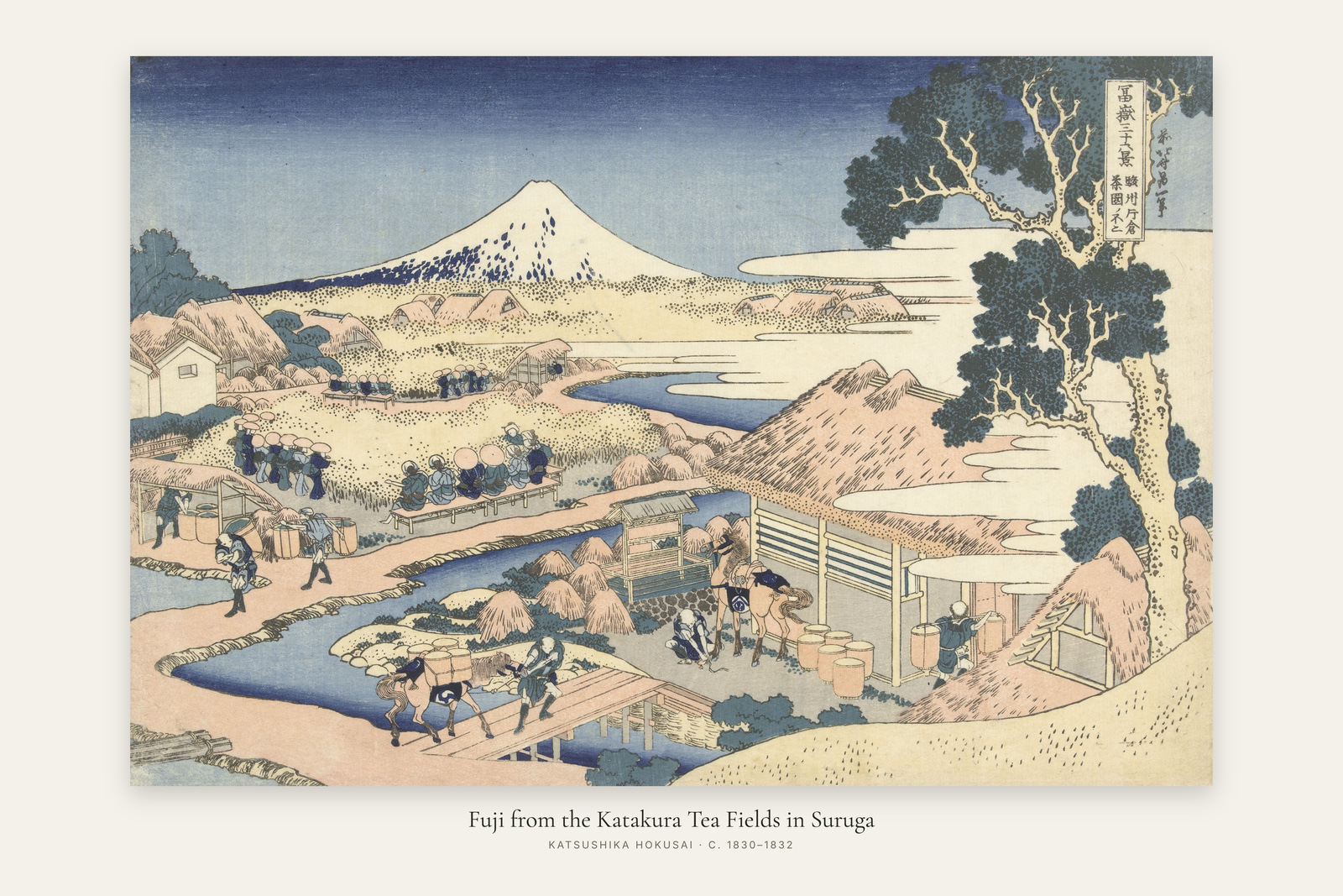 Fuji from the Katakura Tea Fields in Suruga