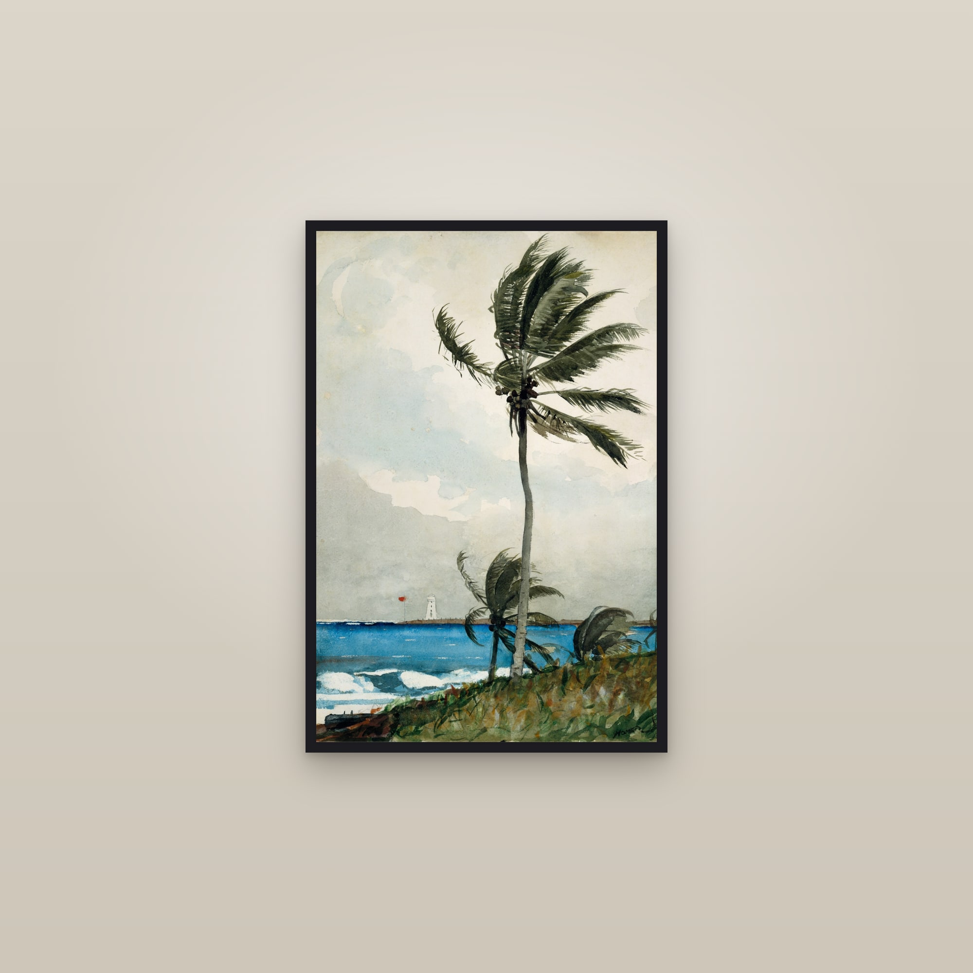 Palm Tree, Nassau (Full) — Full-Bleed Edition — framed in a gallery setting