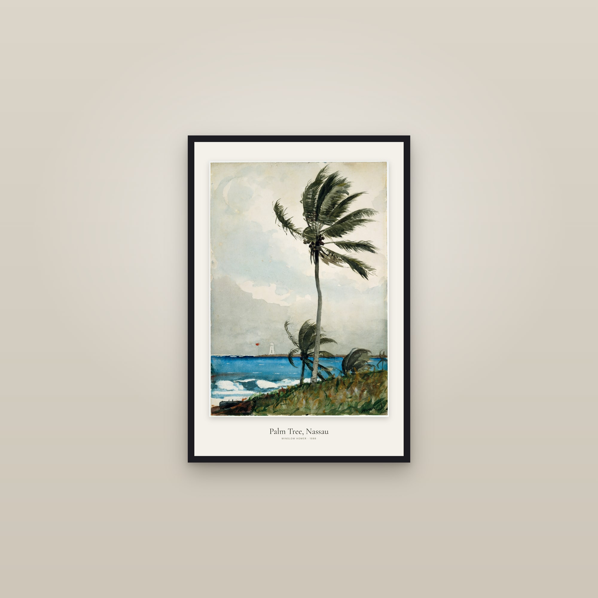 Palm Tree, Nassau — framed in a gallery setting
