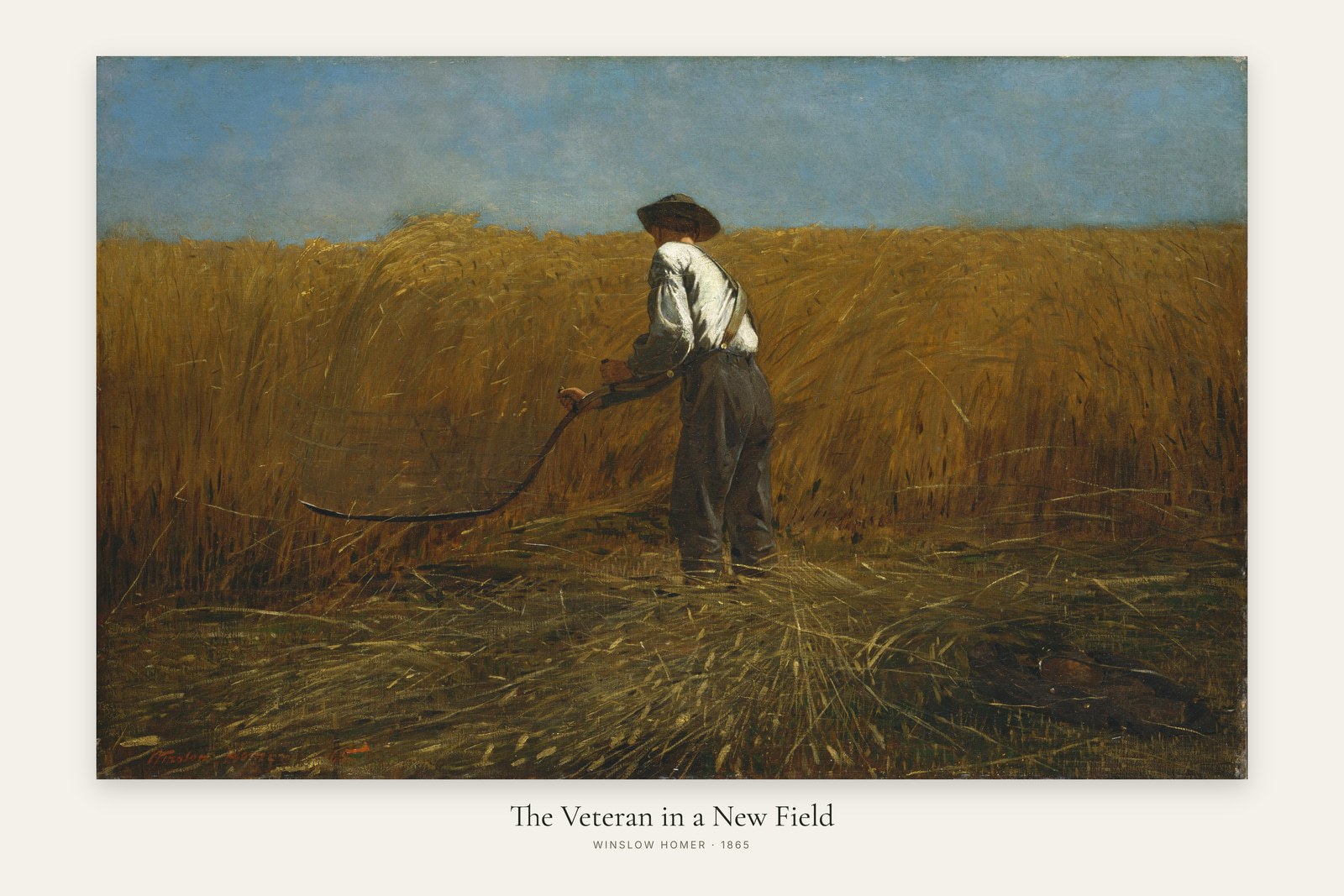 The Veteran in a New Field