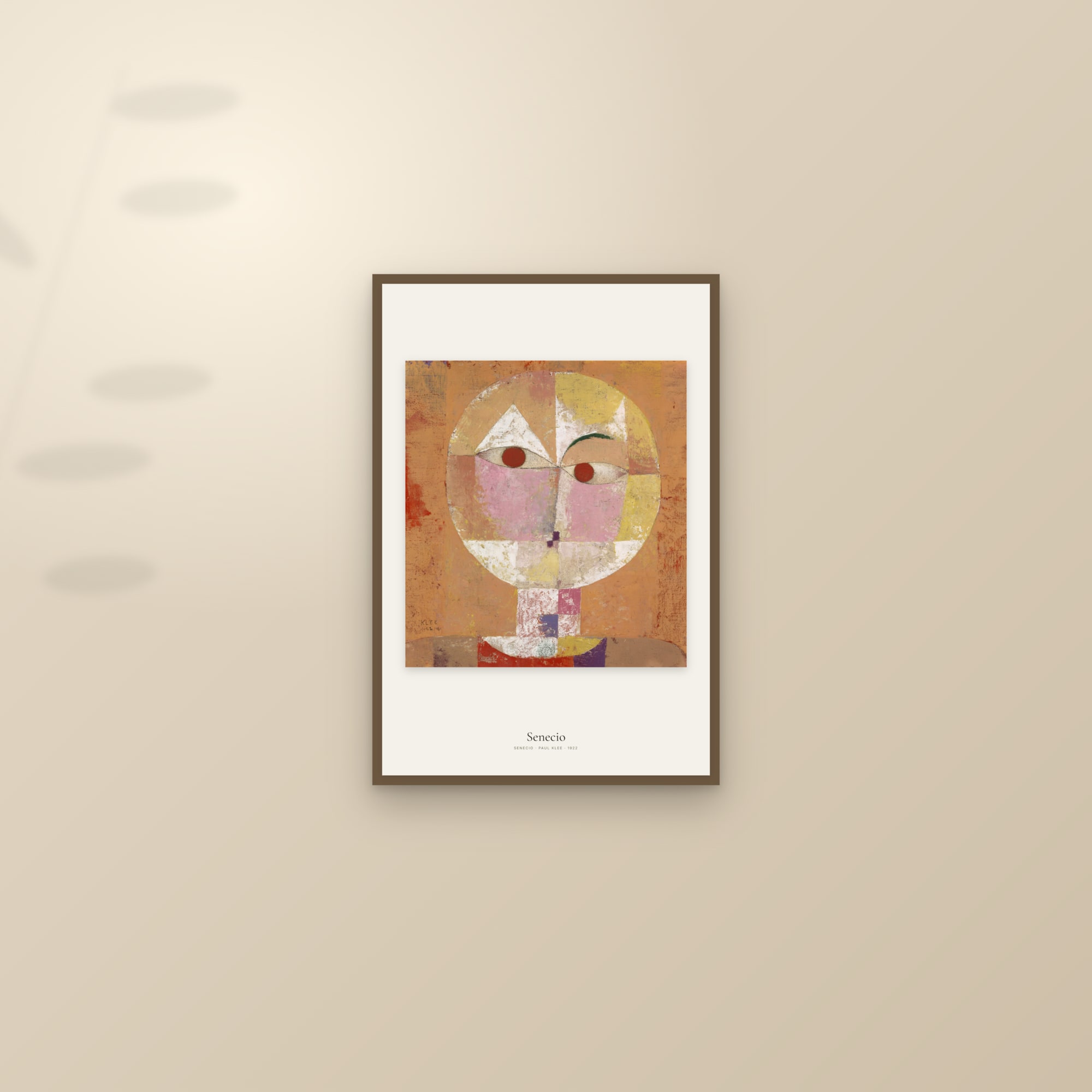 Senecio — framed and styled on a sunlit wall