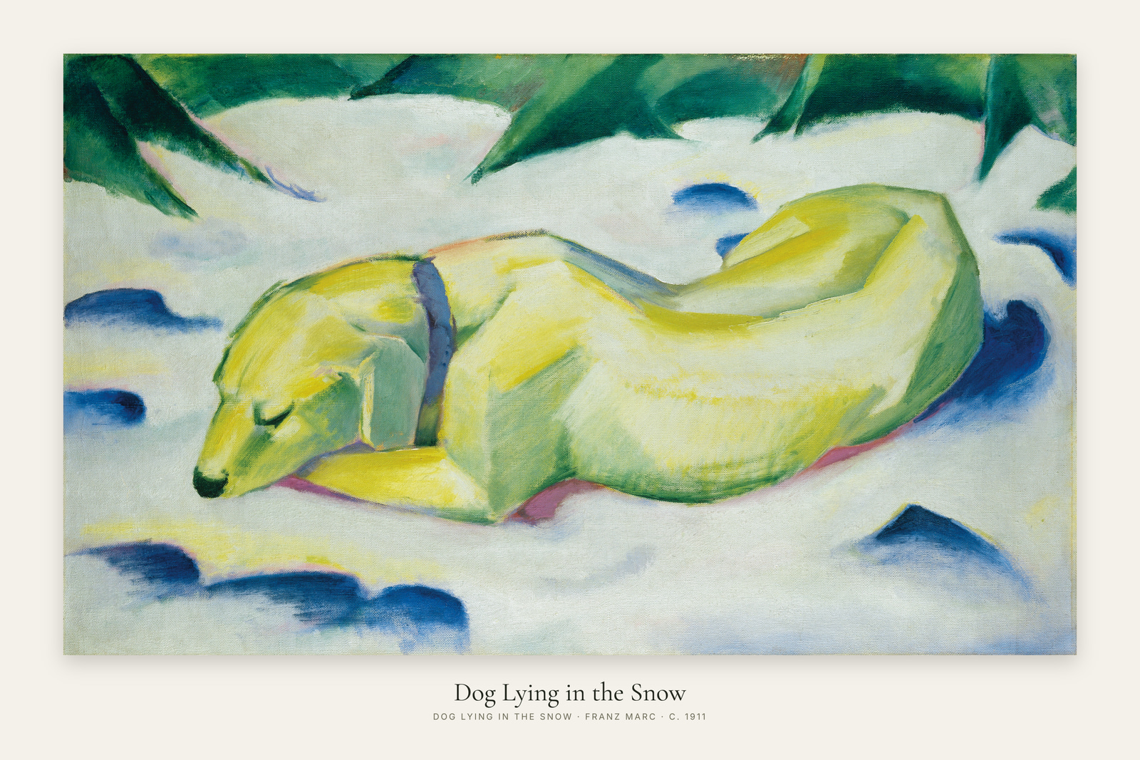 Dog Lying in the Snow