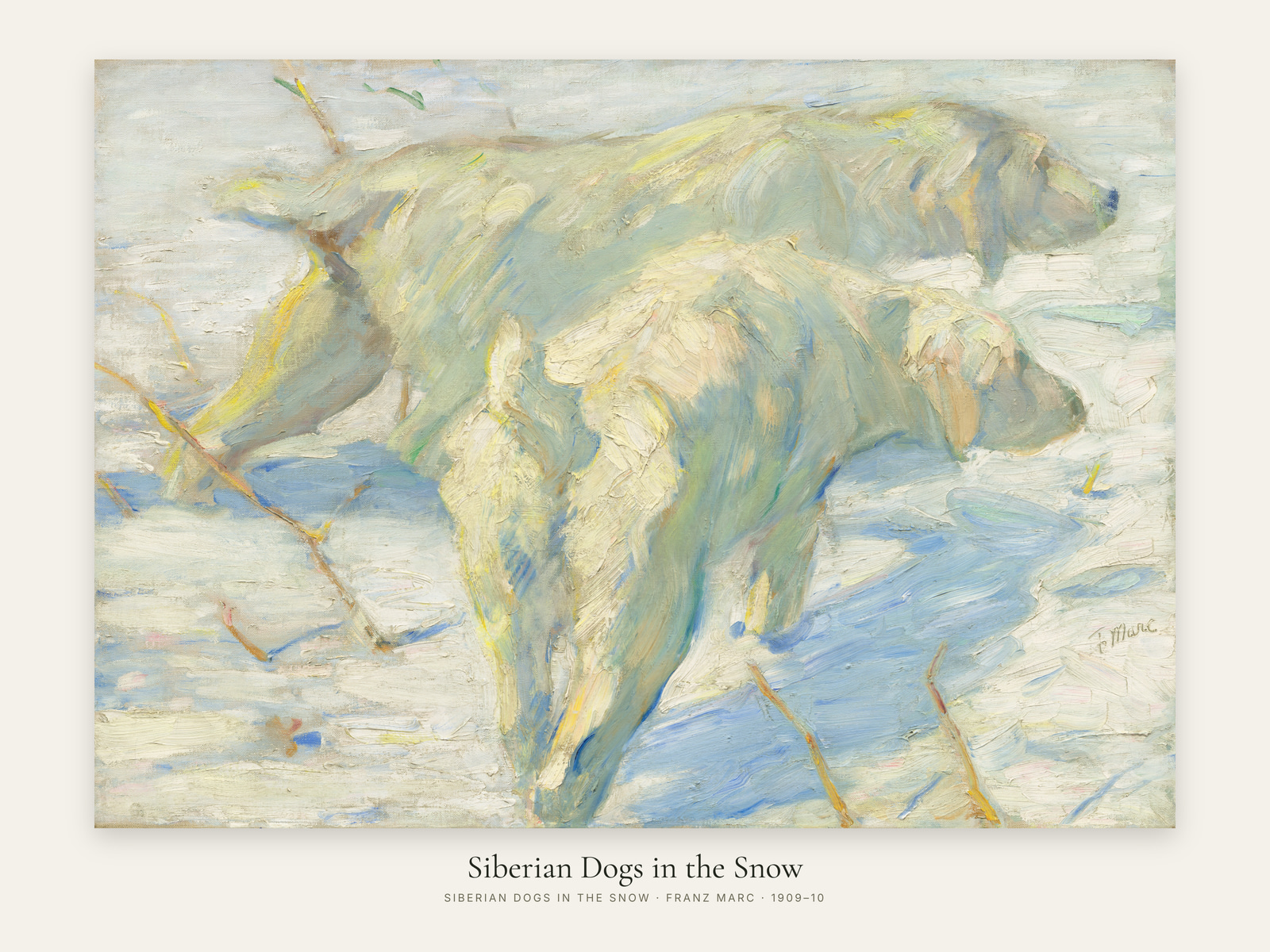 Siberian Dogs in the Snow