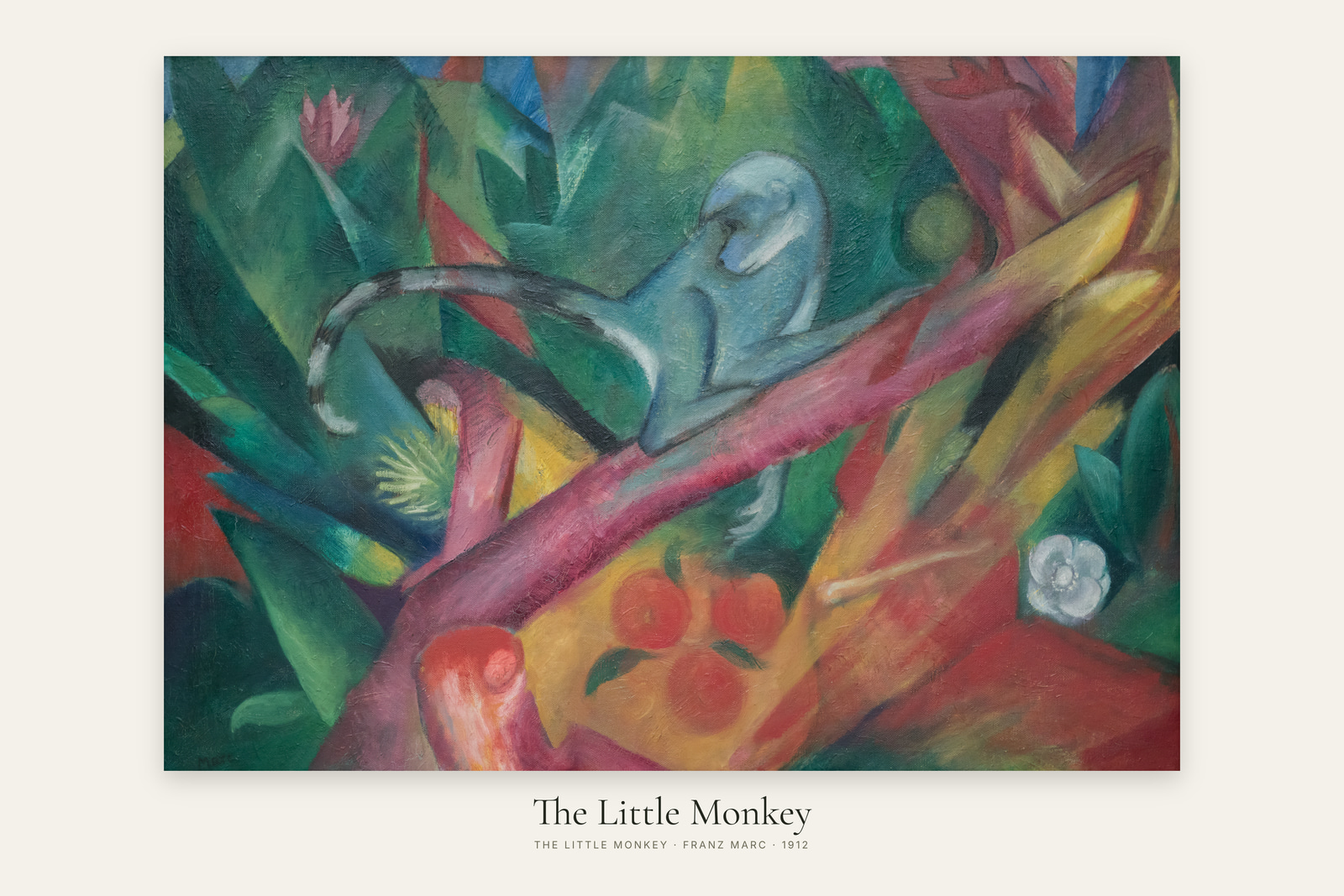 The Little Monkey